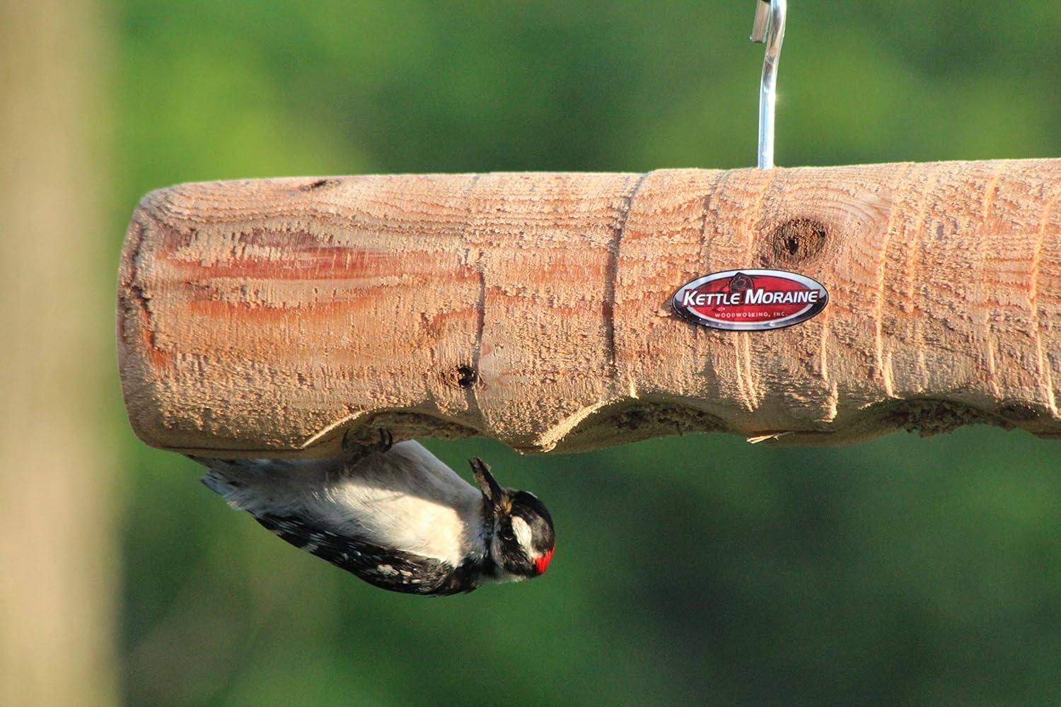 Kettle Moraine Cedar Upside Down Clinger Suet Plug Log Feeder