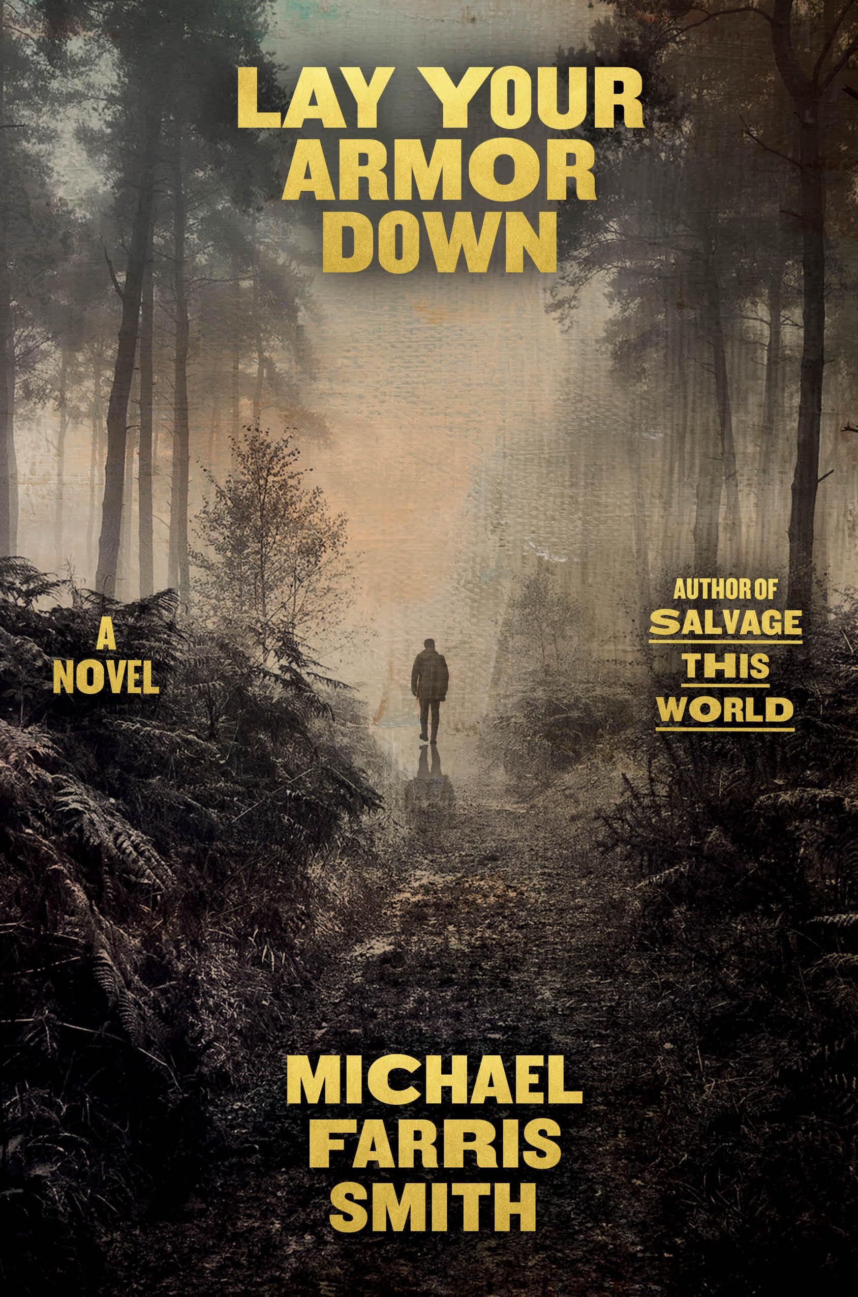 Lay Your Armor Down: A Novel