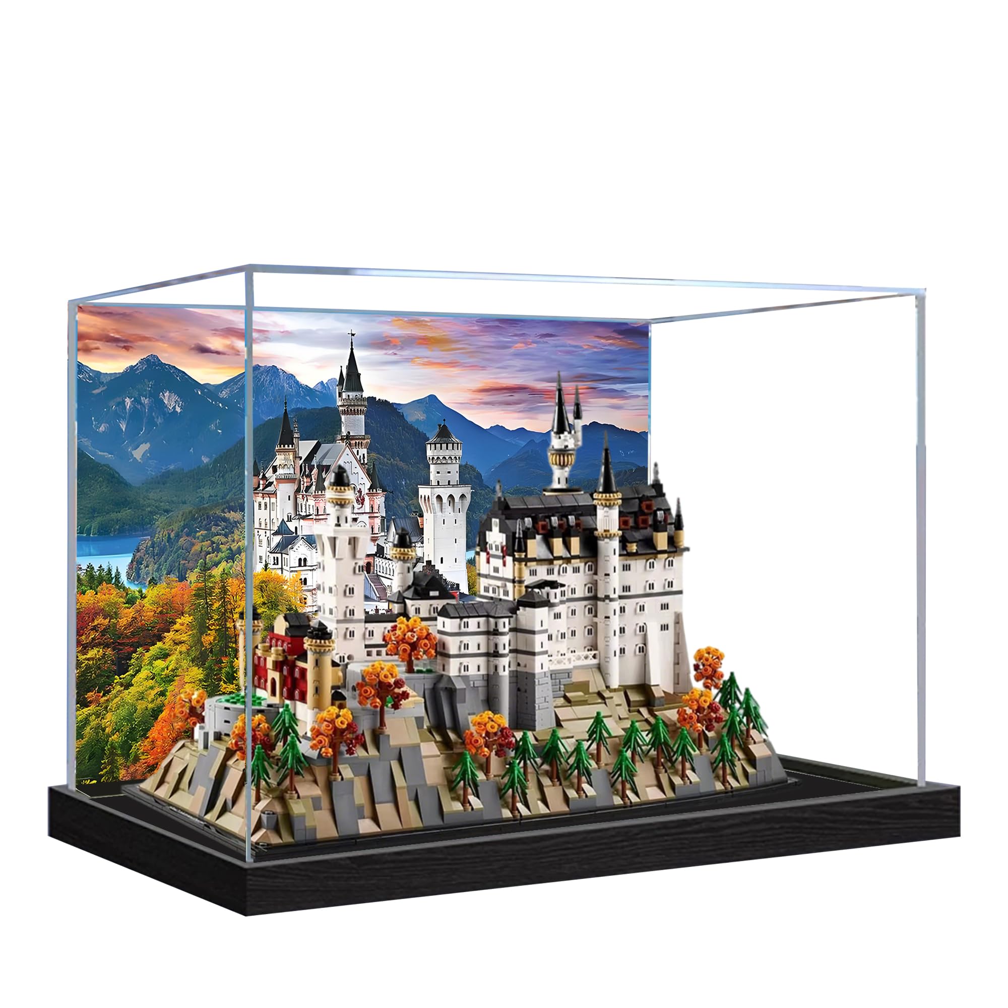 Amazon.com: QIXINDGYH Acrylic Display Case for Lego 21063