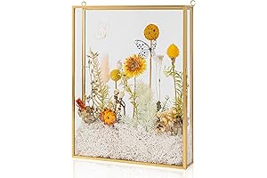 Premium Shadow Box Frame 8x10 with Glass for 3D Mementos