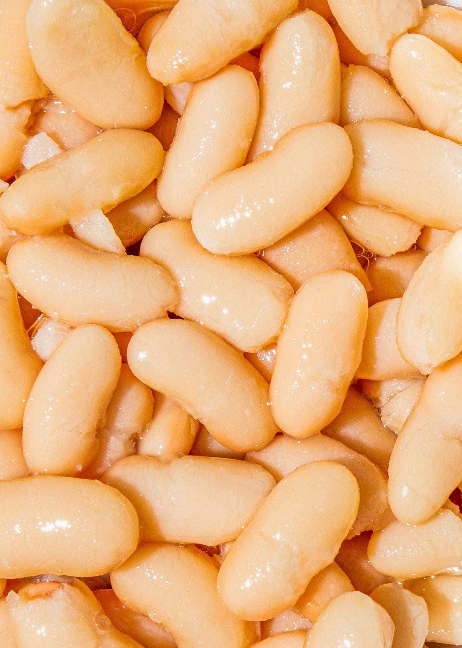 KoRo - Fagioli cannellini bianchi in scatola bio | 12 x 240 g