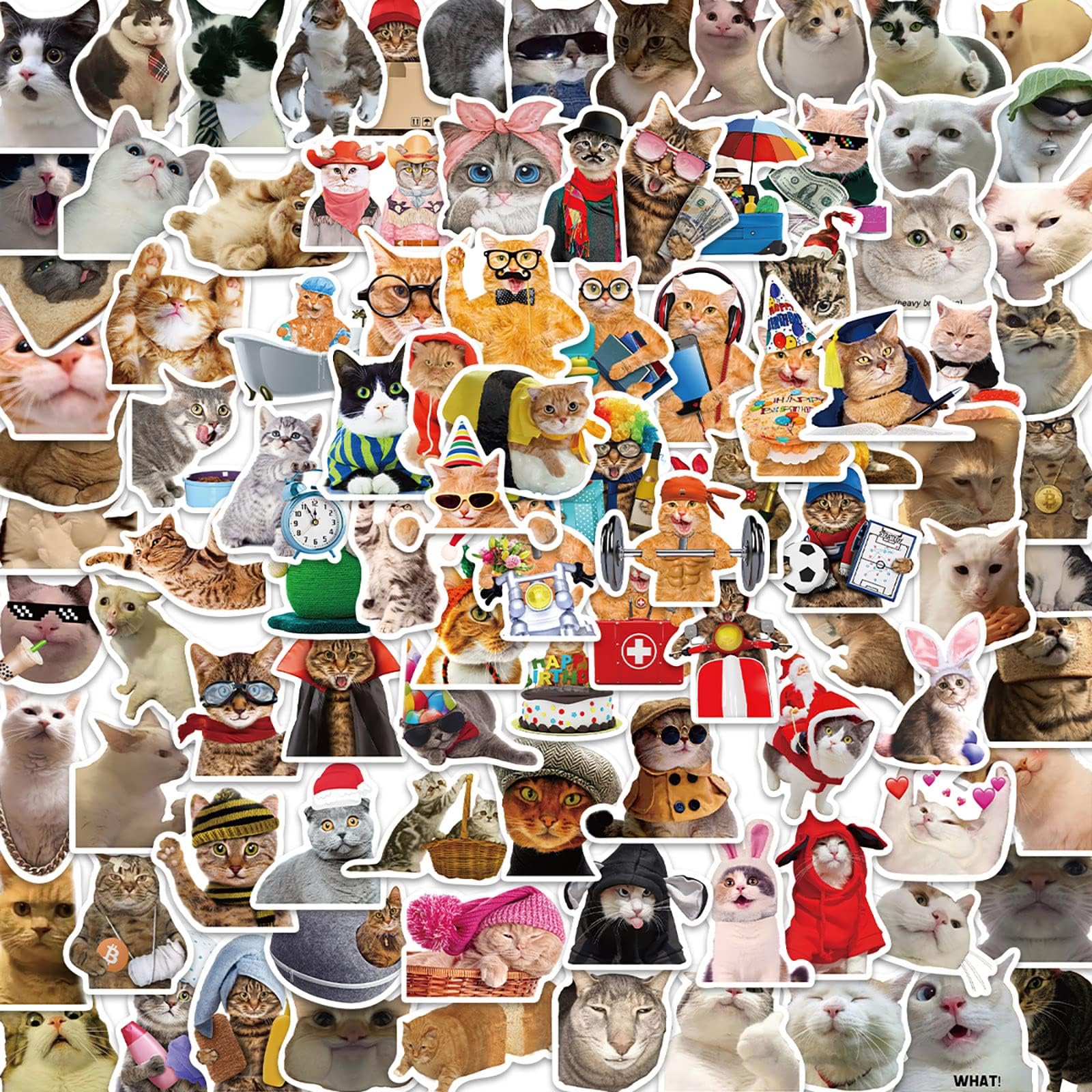 100 pcs Cat Meme Funny Stickers, Bulk Repeating Vinyl Waterproof Stickers for Adults, Vinyl Laptop Stickers for Skateboard, Water Bottles, Cars, Bumper, Scrapbook