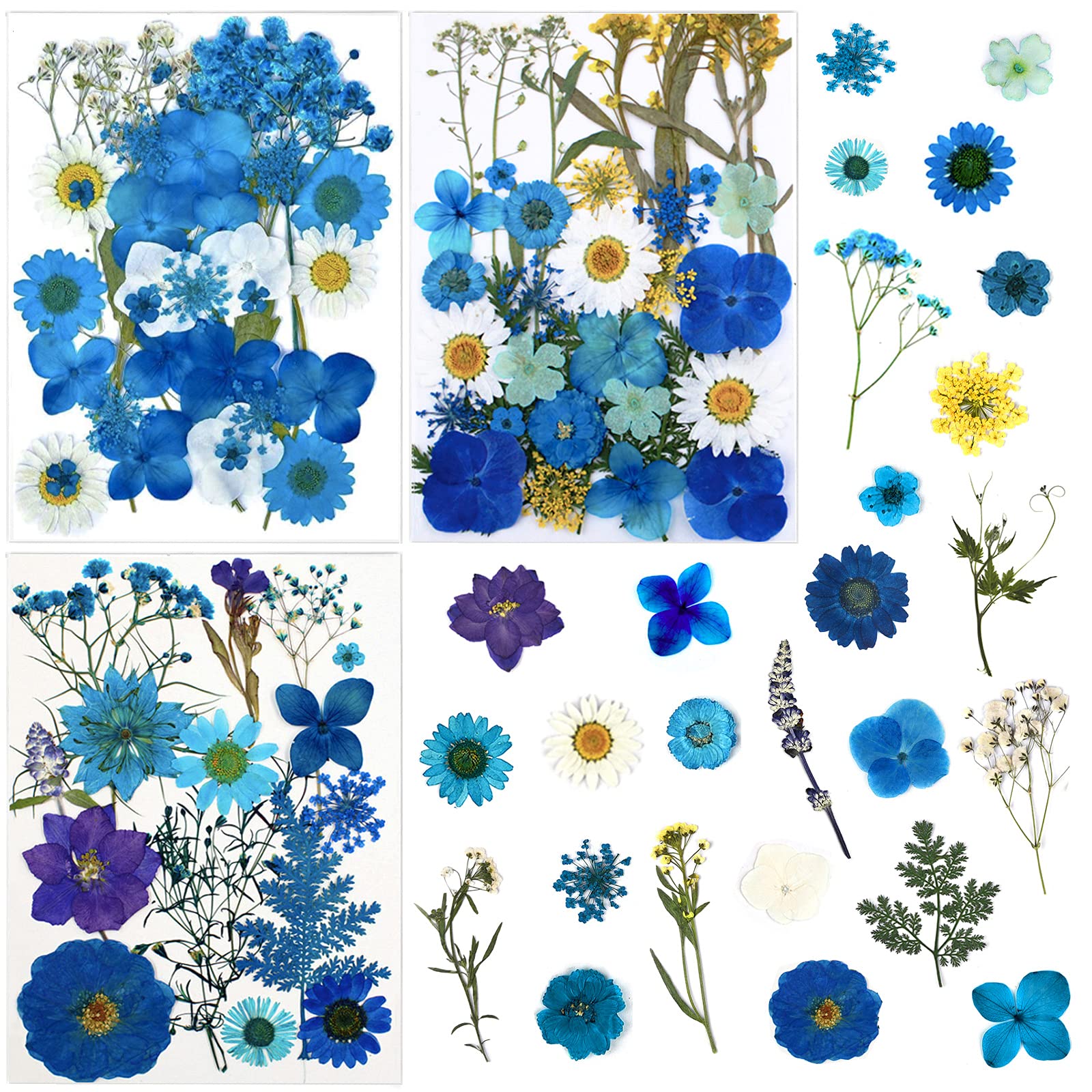 85 Pcs Blue Pressed Dried Flowers for Resin Molds, Real Natural Flowers Leaves Bulk for DIY Art Nail Crafts, Jewelry, Candle, Soap Making