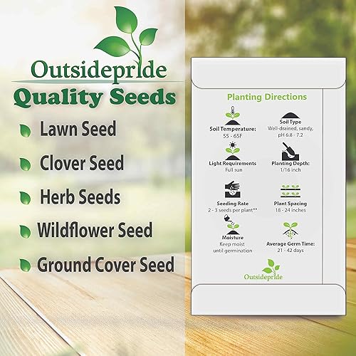 Miniatura 5 de Outsidepride 2000 Semillas Perenne Penstemon Grande Shell-Leaf Beardtongue Flower Seed para plantar