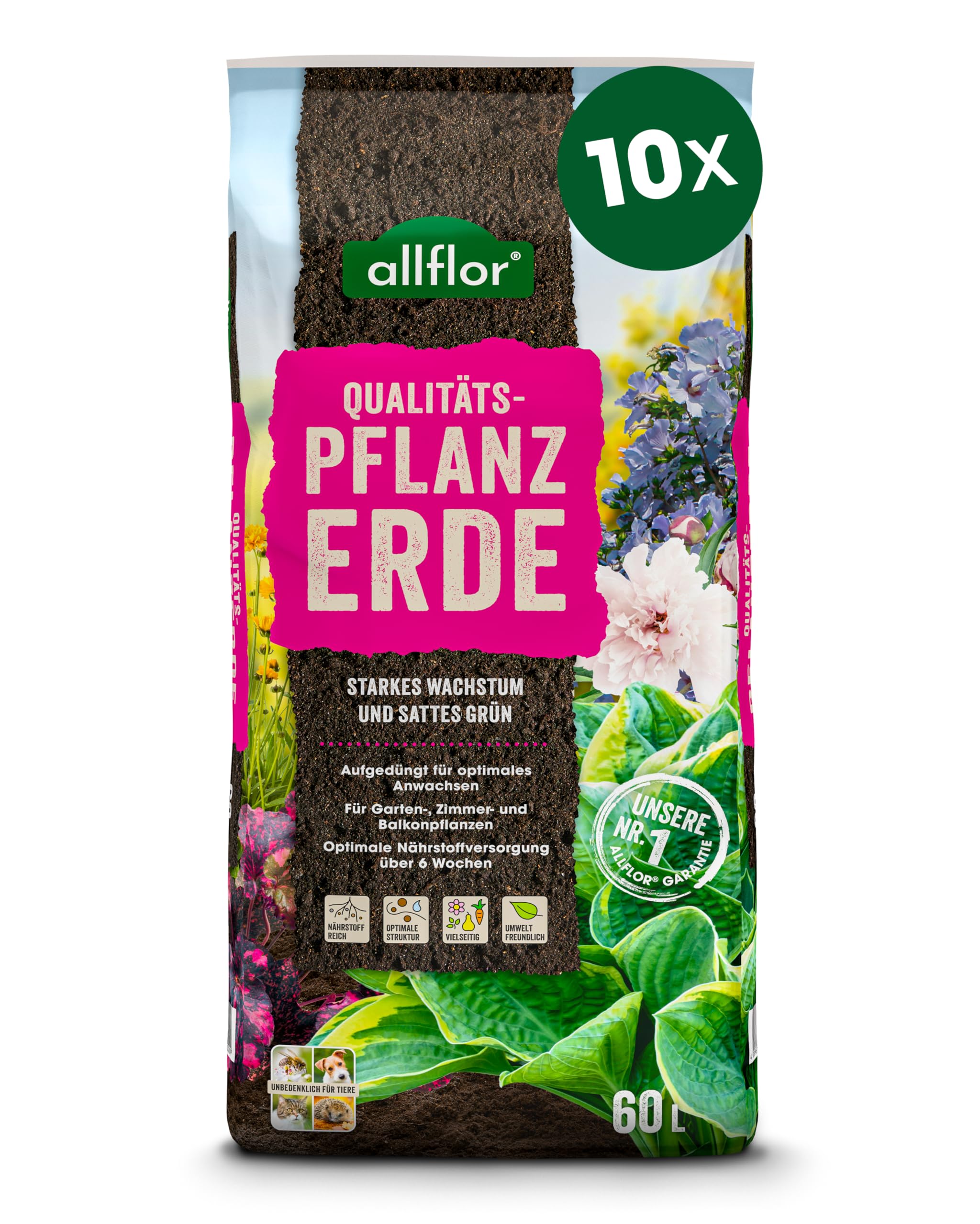 Allflor Pflanzerde I 10 x 60 Liter Beutel I Erde gebrauchfertig, aufgekalkt, aufgedüngt I Blumenerde für Pflanzungen im Garten oder im Kübel I Schnelles und optimales Wachstum