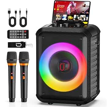 Portable Bluetooth Karaoke Machine With 2 Wireless Nepal | Ubuy