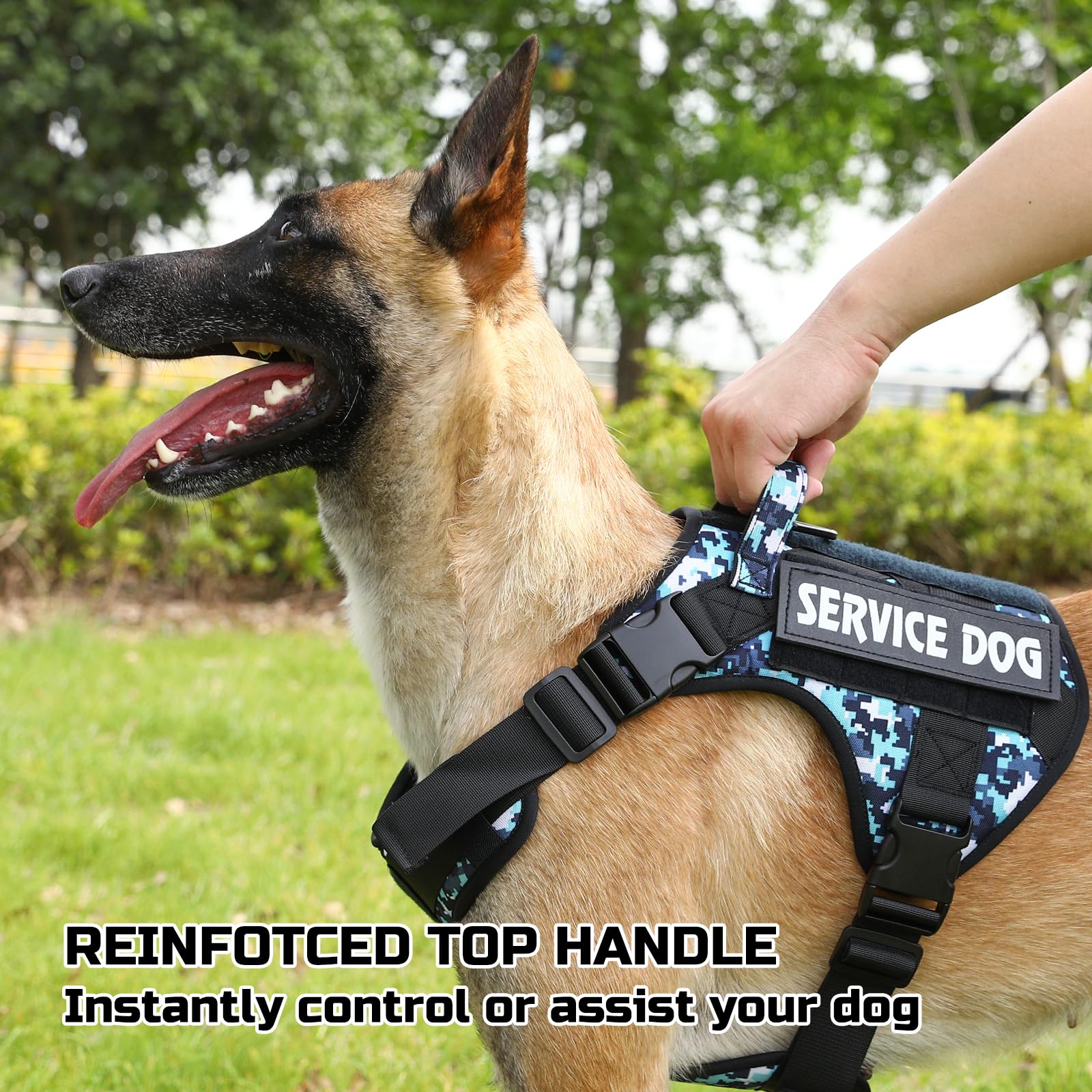 Anxiety German Shepherd Emotional Support Dog For Sale German - Main Image