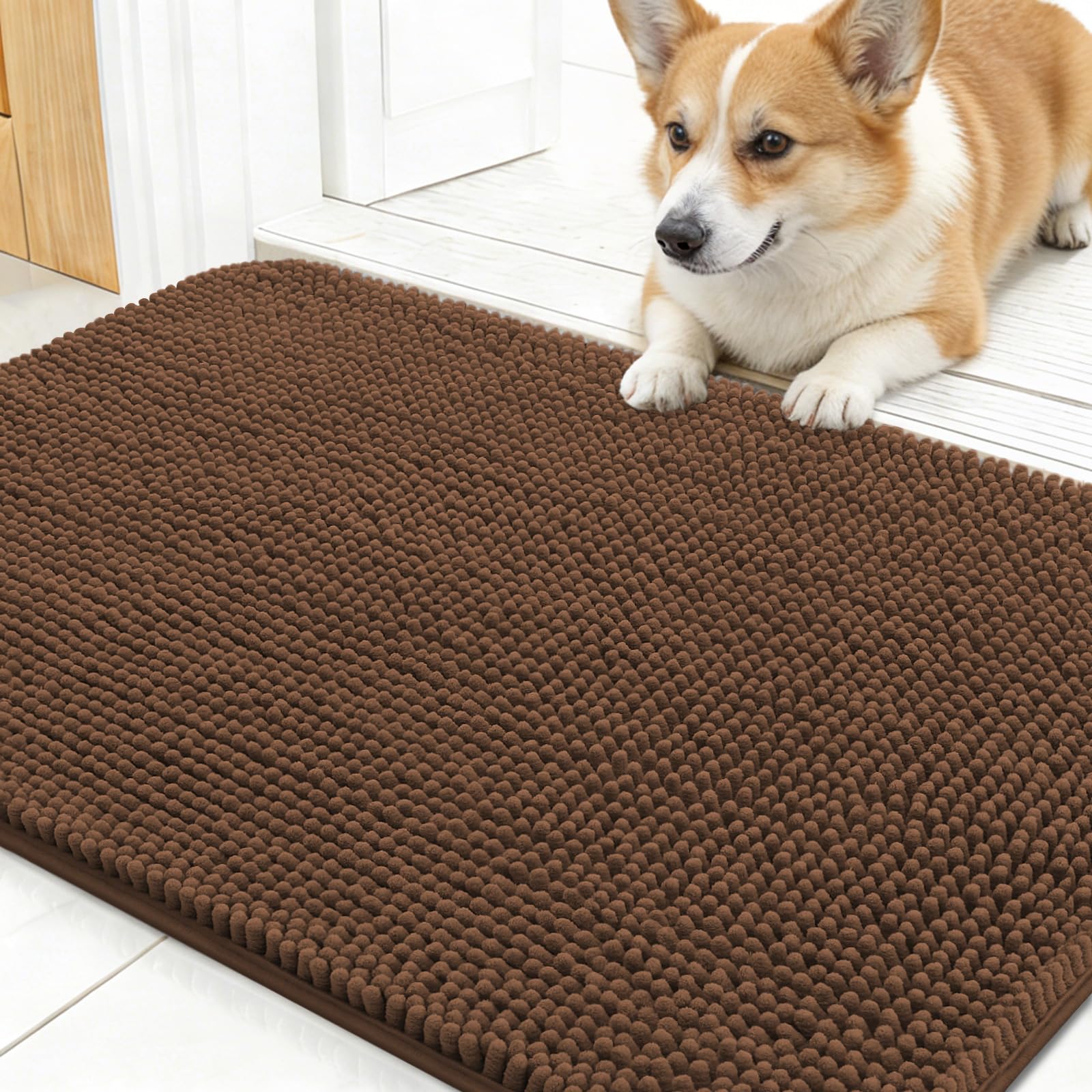 OLANLY Dog Door Mat for Muddy Paws 24x16, Super Absorbent Chenille Mud Mat