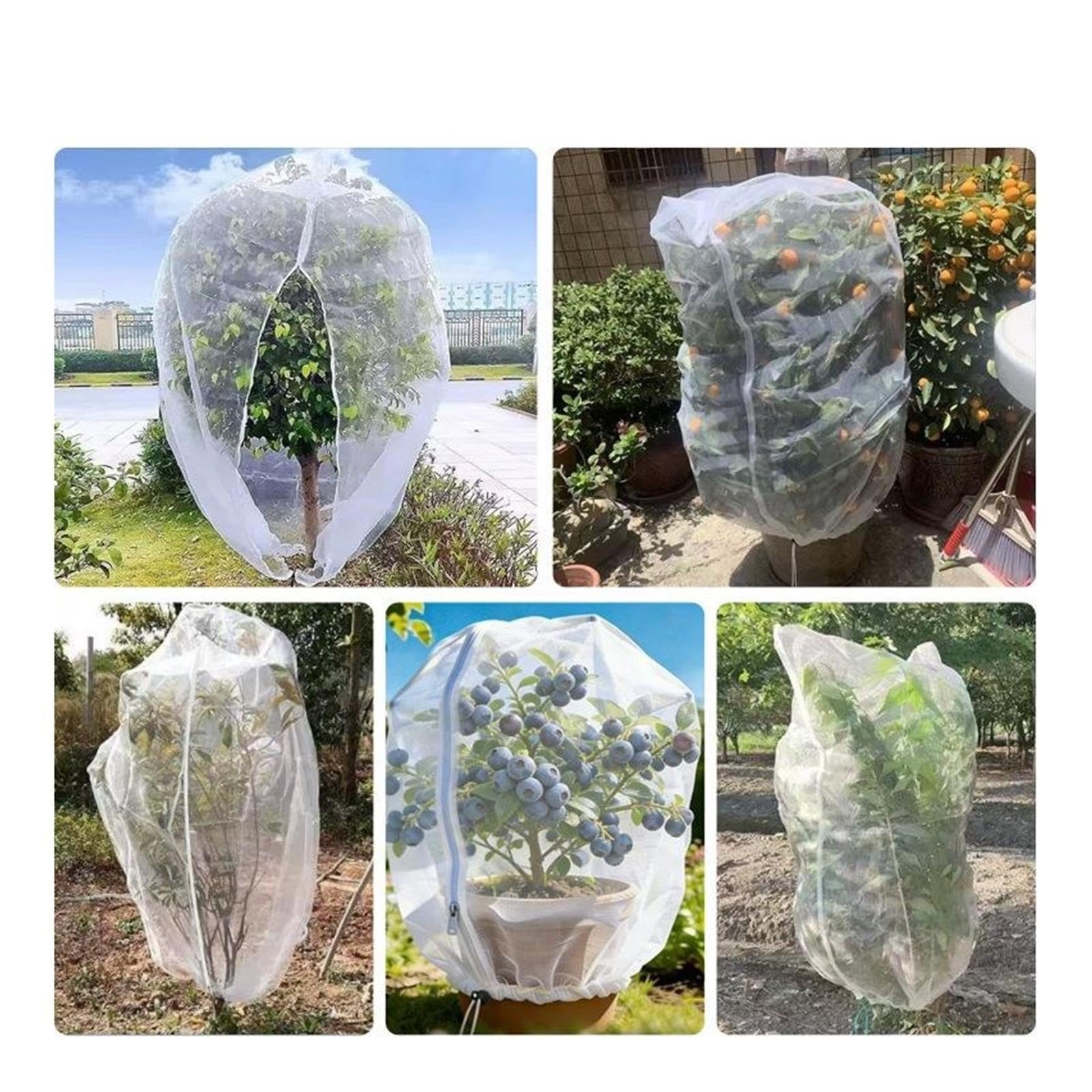 24pcs Insect Net pour Plantes