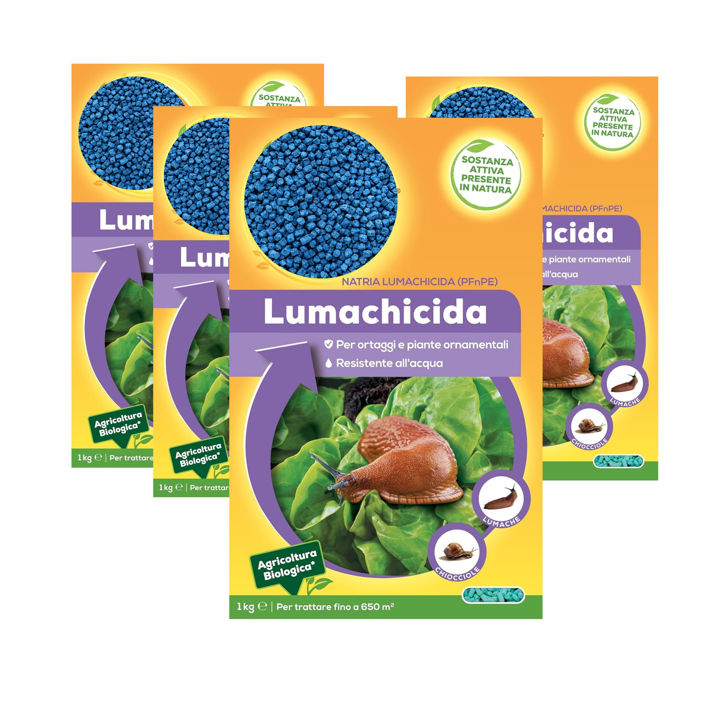 Esca in Granuli per Lumache e Chiocciole | a Base di Fosfato Ferrico - 1 Kg per 4 Confezioni | Granuli per Orto e Giardino | Resistente a Pioggia e Irrigazione | Protezione Piante e Colture