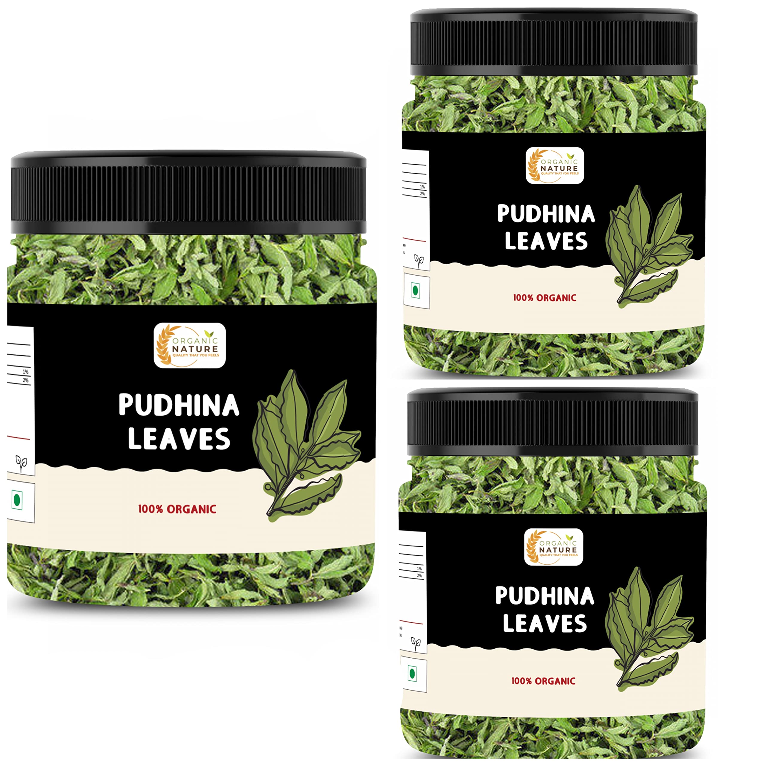 Organic Nature Dry Mint Leaves Sukha Pudina Patti pudhina leaves (Jar Pack) (150 Grams (Pack of 3 of 50 Grams))