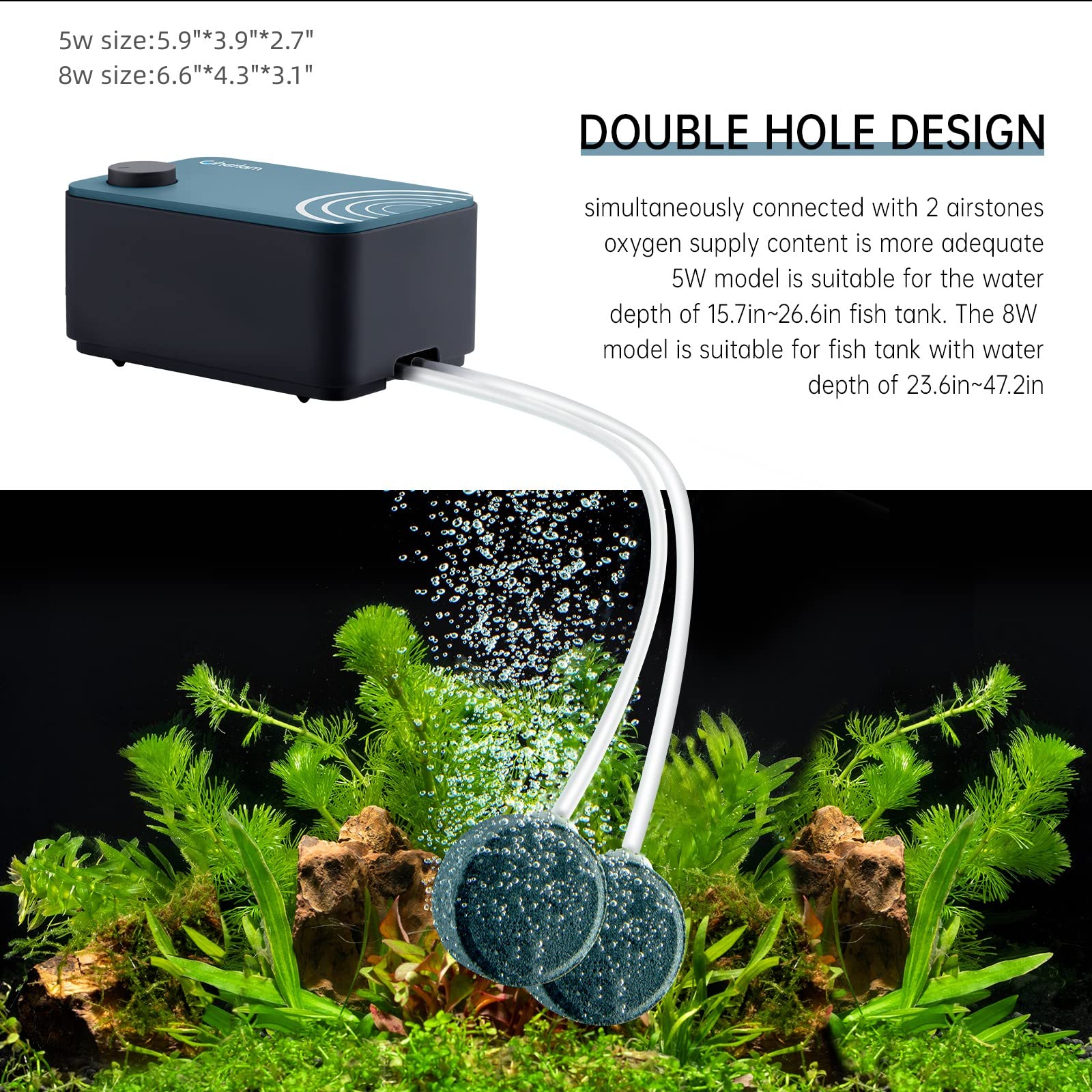 https://m.media-amazon.com/images/I/8118JHSXnpL.jpg