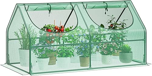 GreatBuddy Portable Mini Greenhouse, 3×3×6Ft, High-Density PE Plant Cover with