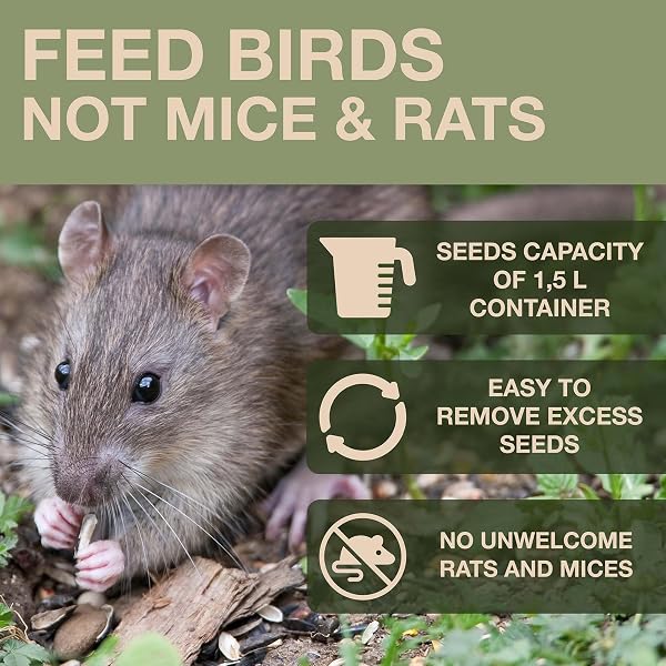 SWISSINNO Mangiatoia per Uccellini da Esterno - "Davos" SMART BIRDS - Casetta Cibo Uccelli Selvatici - 2 Scomparti Antispreco - A Prova di Topi e Ratti - Resistente - da Appendere - Salvia - 2