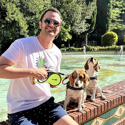 Miniatura 2 de Correa retráctil para perros grandes con luz recargable, correa retráctil resistente de 16 pies para mascotas con control de un botón, protección