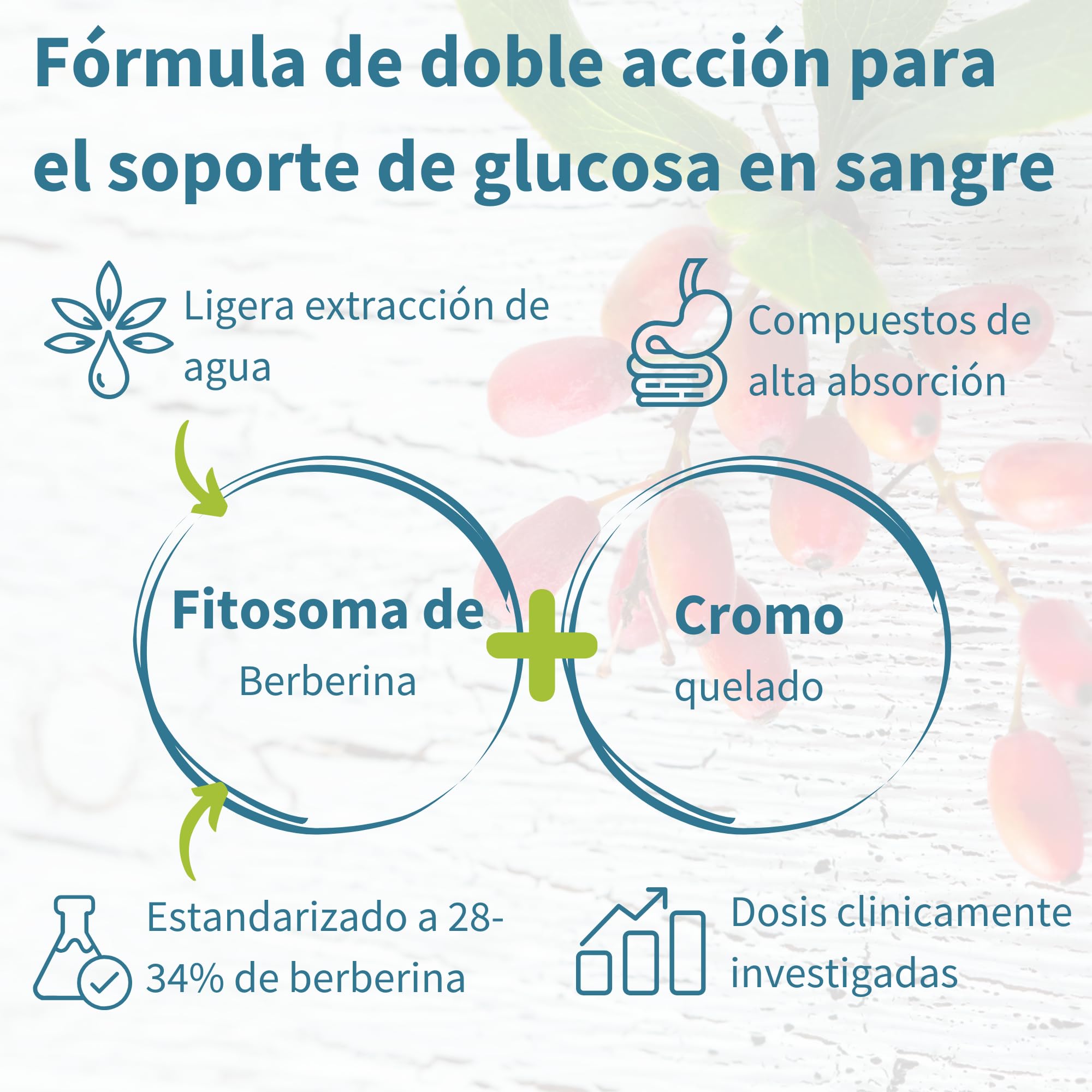 Igennus Berberina 550 mg Fitosomada, Acción Dual con Picolinato de Cromo, Alta Absorción, Control de la Glucosa, Extracto Estandarizado, Ingredientes Puros, 60 Cápsulas Veganas