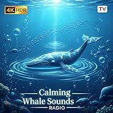 Relaxscreenhub TV