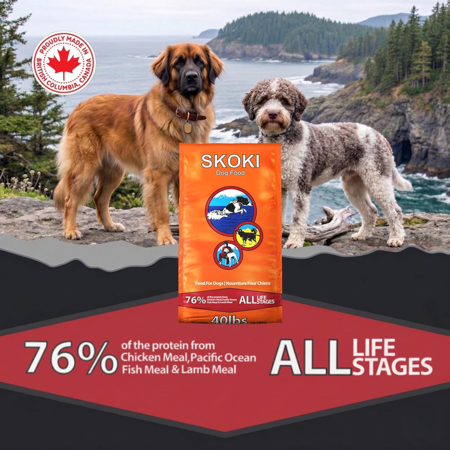 SKOKI Dry Dog Food
