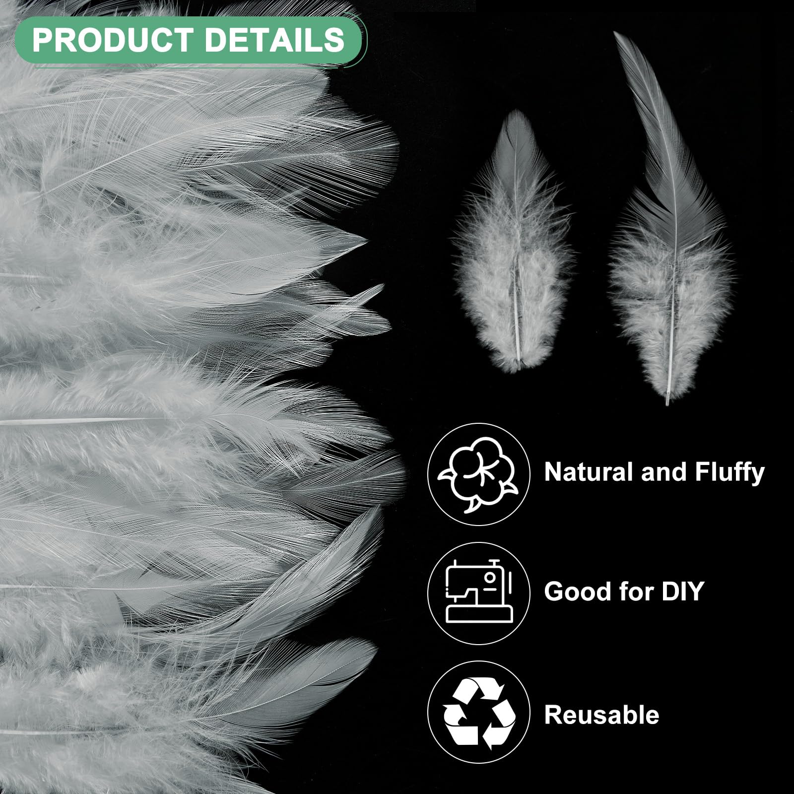 M METERXITY 300-Pack Saddle Hackle Rooster Feather - Image 2