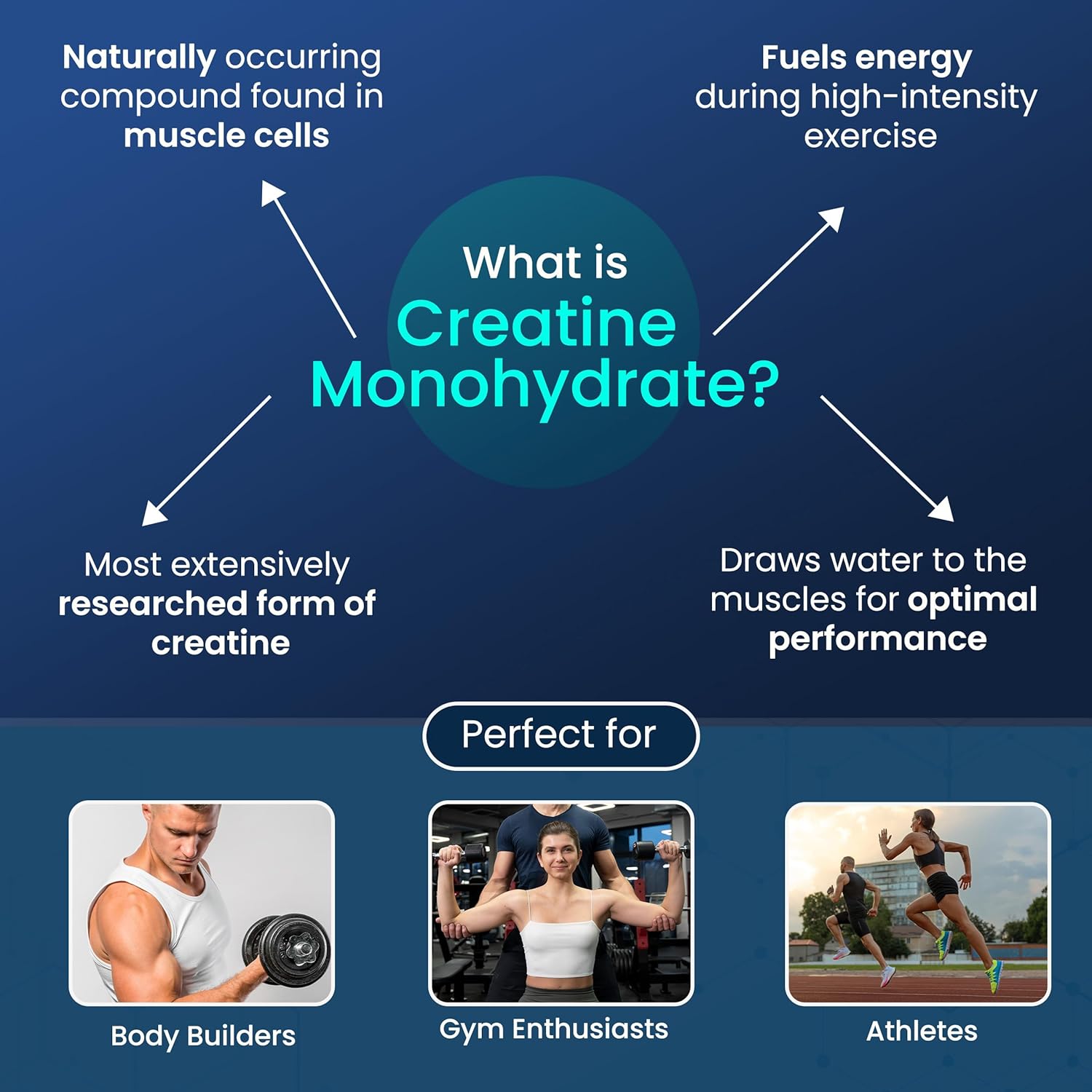 Creatine Capsules - Micronized Creatine Monohydrate. 3000mg, 180 Vegan Capsules - Image 5