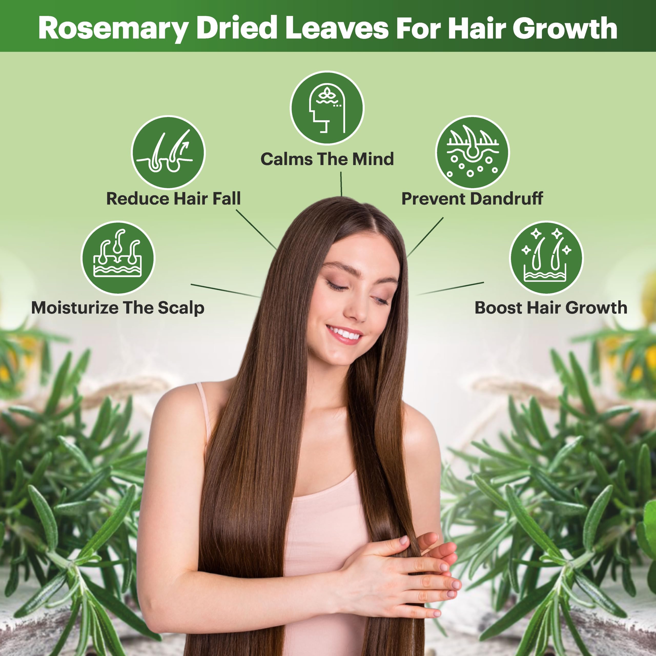 NeutraVed Rosemary Leaves 100G + Comb Applicator + Mist Spray + Neem Comb|Food & Hair Growth|Fresh, Aromatic Leaves For Stronger, Nourished Hair|Know Quality Packed Zipper Pouch,100 Gram - Image 3 thumbnail
