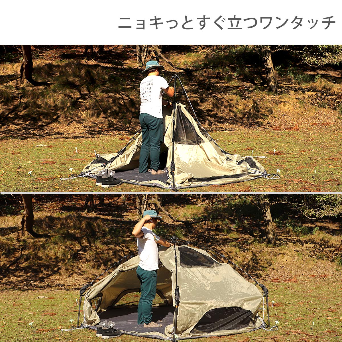 Amazon | DOD(ディーオーディー) キノコテント かわいい 簡単