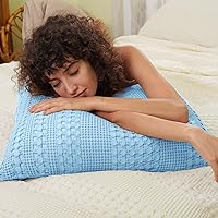 Vista 75 de PHF Fundas de almohada 100% algodón con tejido de gofre de 24 x 24 pulgadas, paquete de 2 fundas cuadradas para decoración elegante del hogar, sin