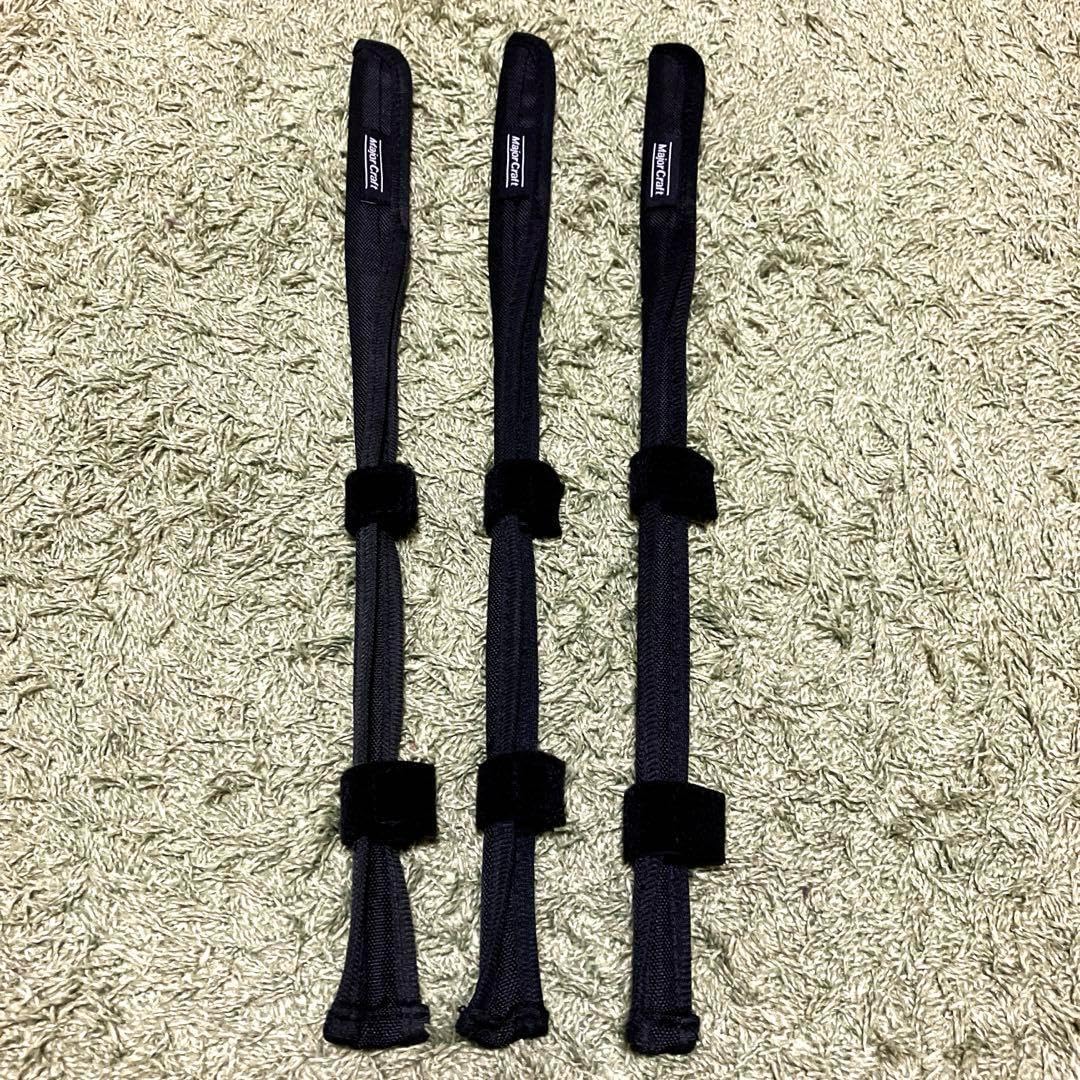 マダガカカル産 珍品ゾウムシ 17mm 🎯