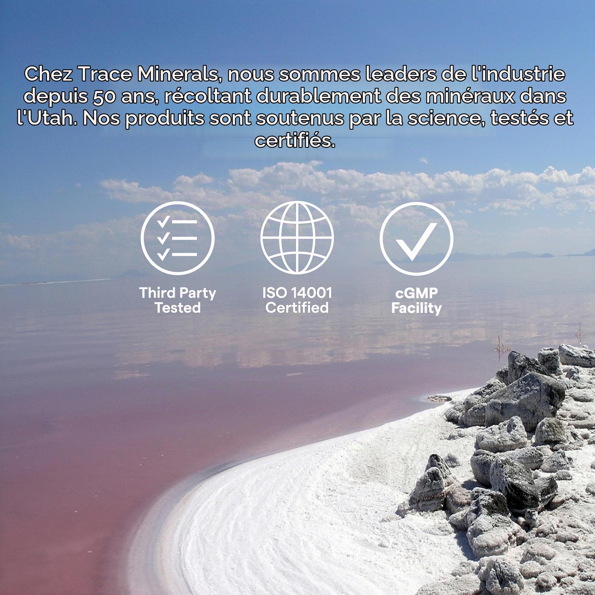 Trace Minerals ConcenTrace Gouttes d’Oligo-éléments avec Électrolytes, 118 | 48 Portions, Oligo-Éléments Ioniques Liquides. Plus de 70 Minéraux À L’État De Traces, Dont Magnésium, Fer Et Zinc. Favorise