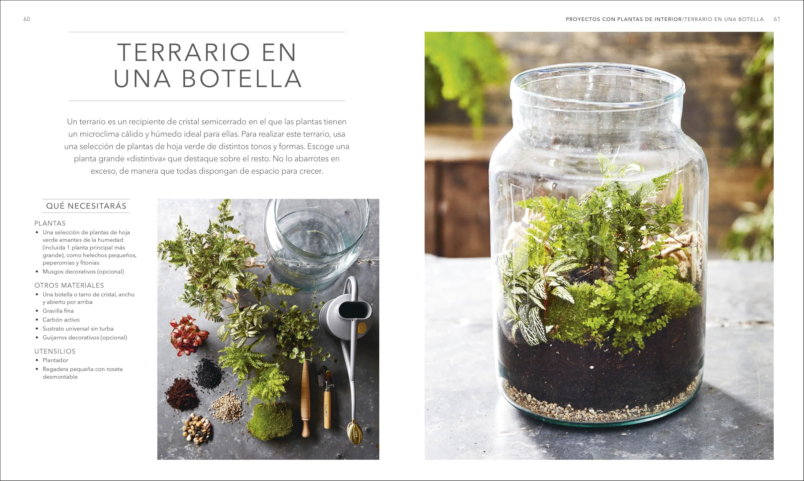 Plantas de interior: Guía completa. Plantas, cactus y suculentas (Jardinería)