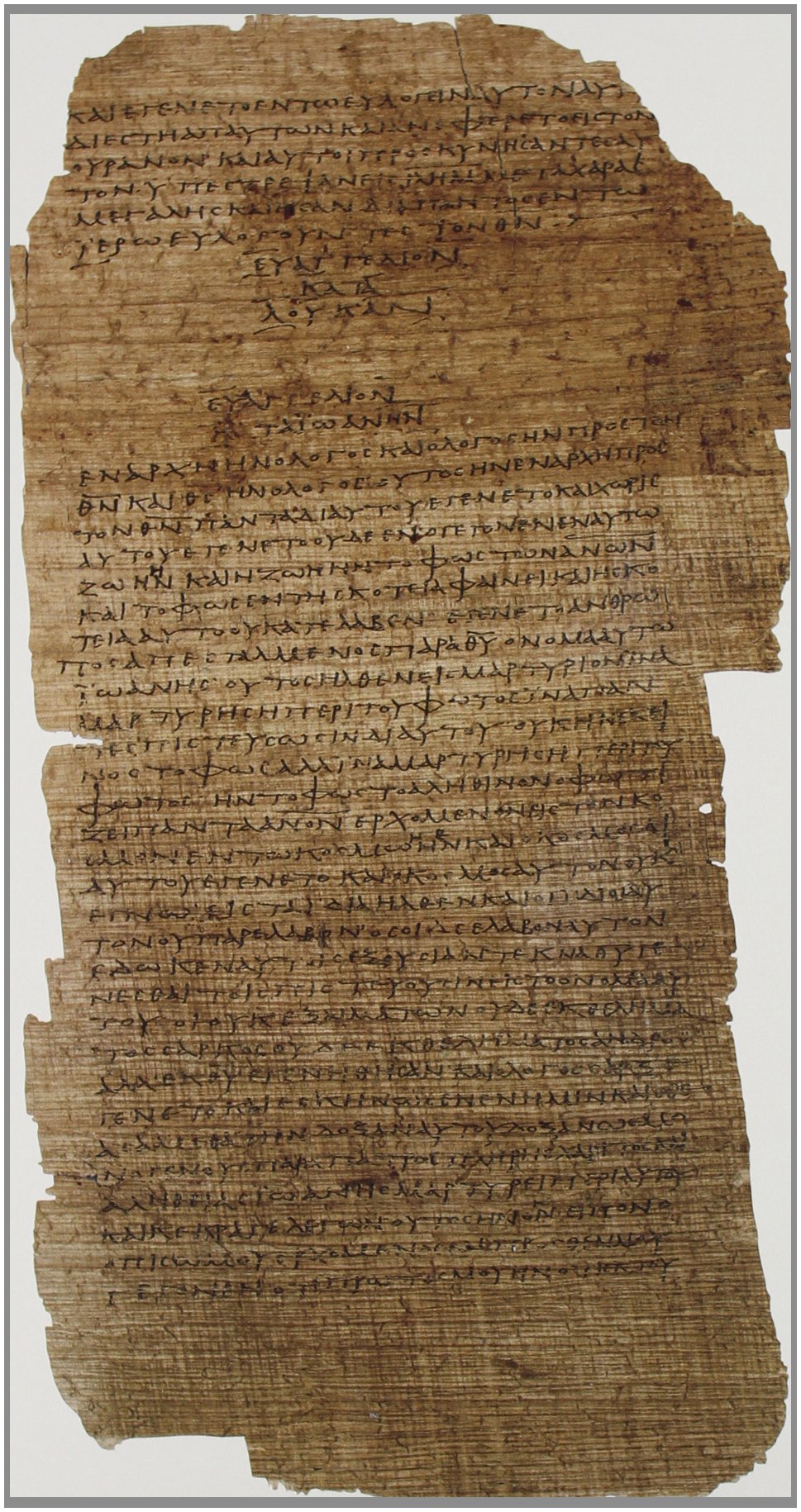 La Biblioteca Apostolica Vaticana. Ediz. illustrata