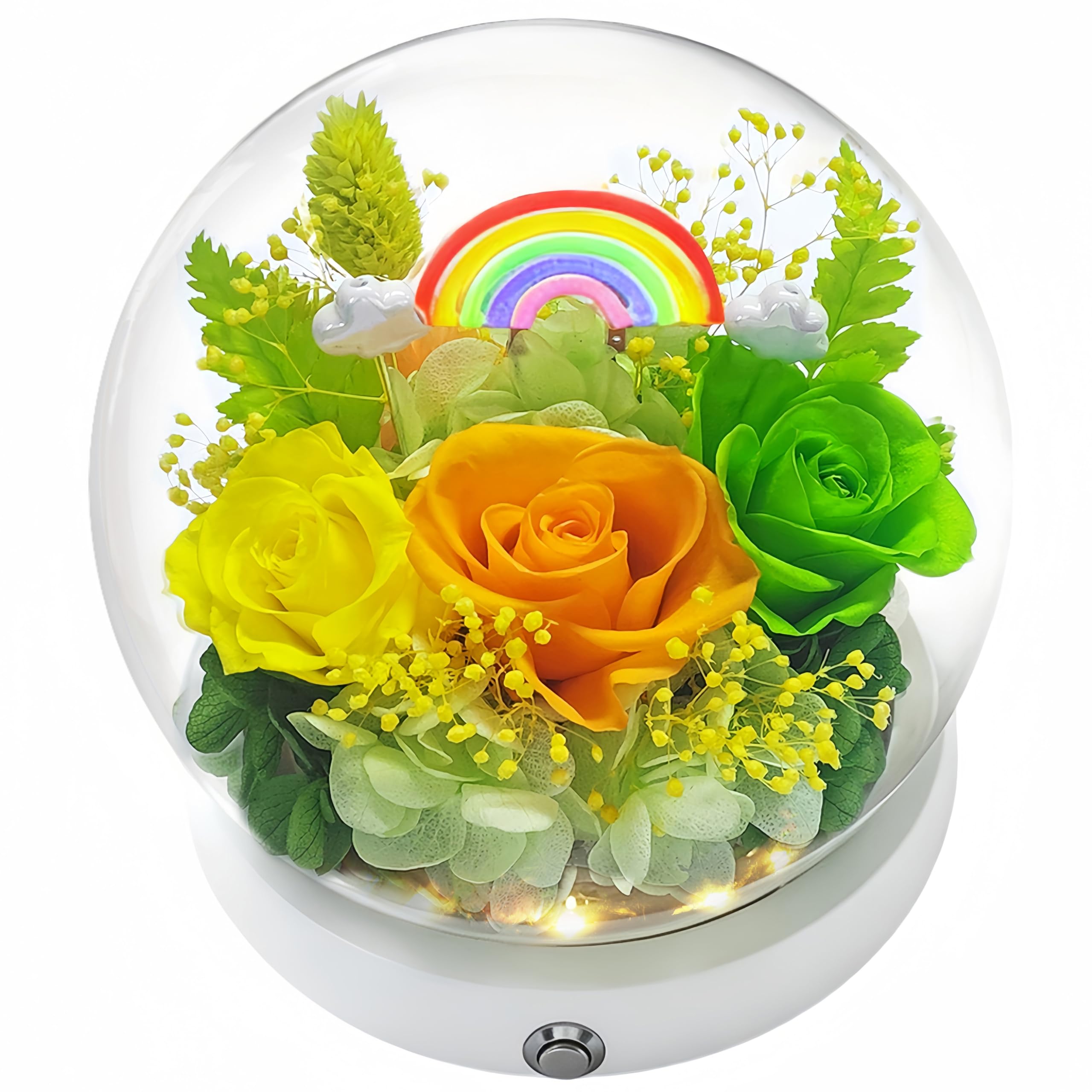 Rainbow LED Preserved Roses - Aesthetic Gift for Her -1