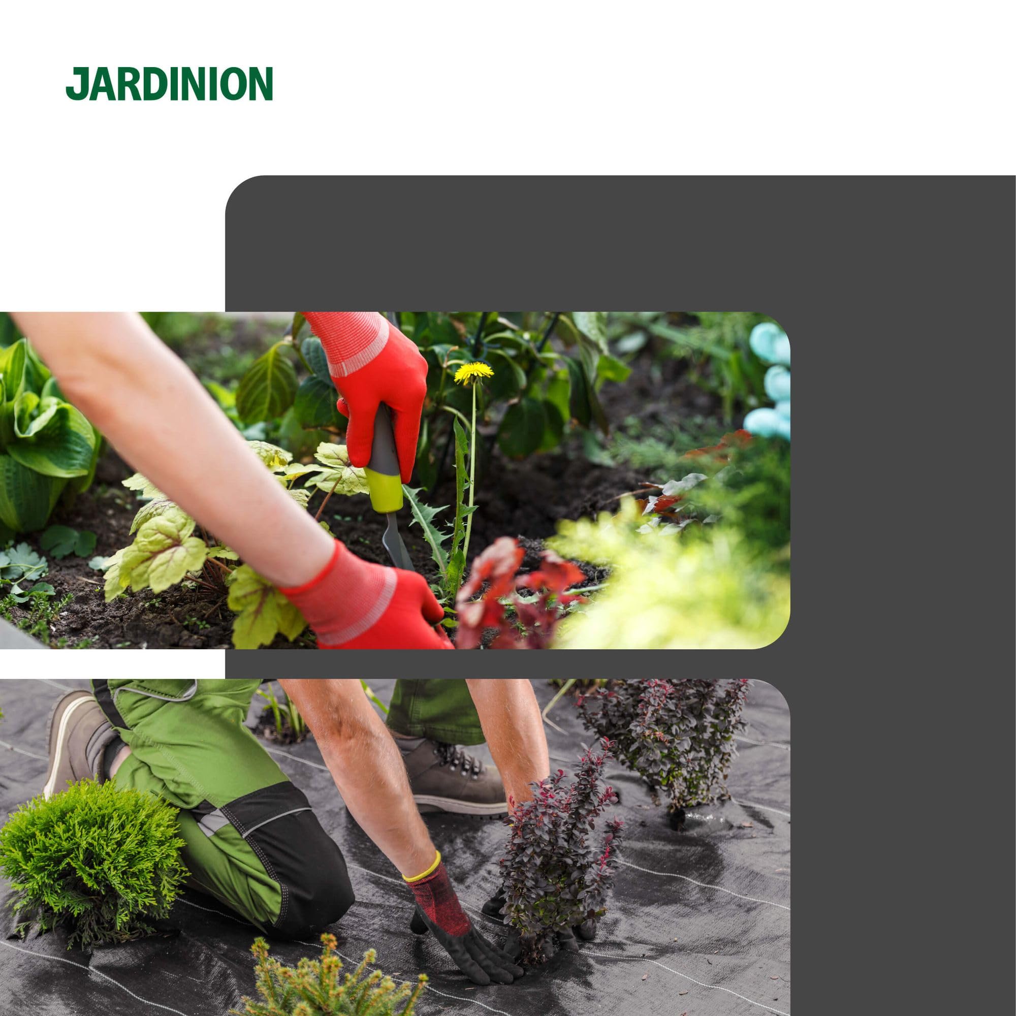 Telo antierbaccia, 40 picchetti 50m, 100g/m² Nero polipropilene | Telo da giardino permeabile all'acqua, telo antierbaccia ad alta resistenza UV per giardino e aiuola