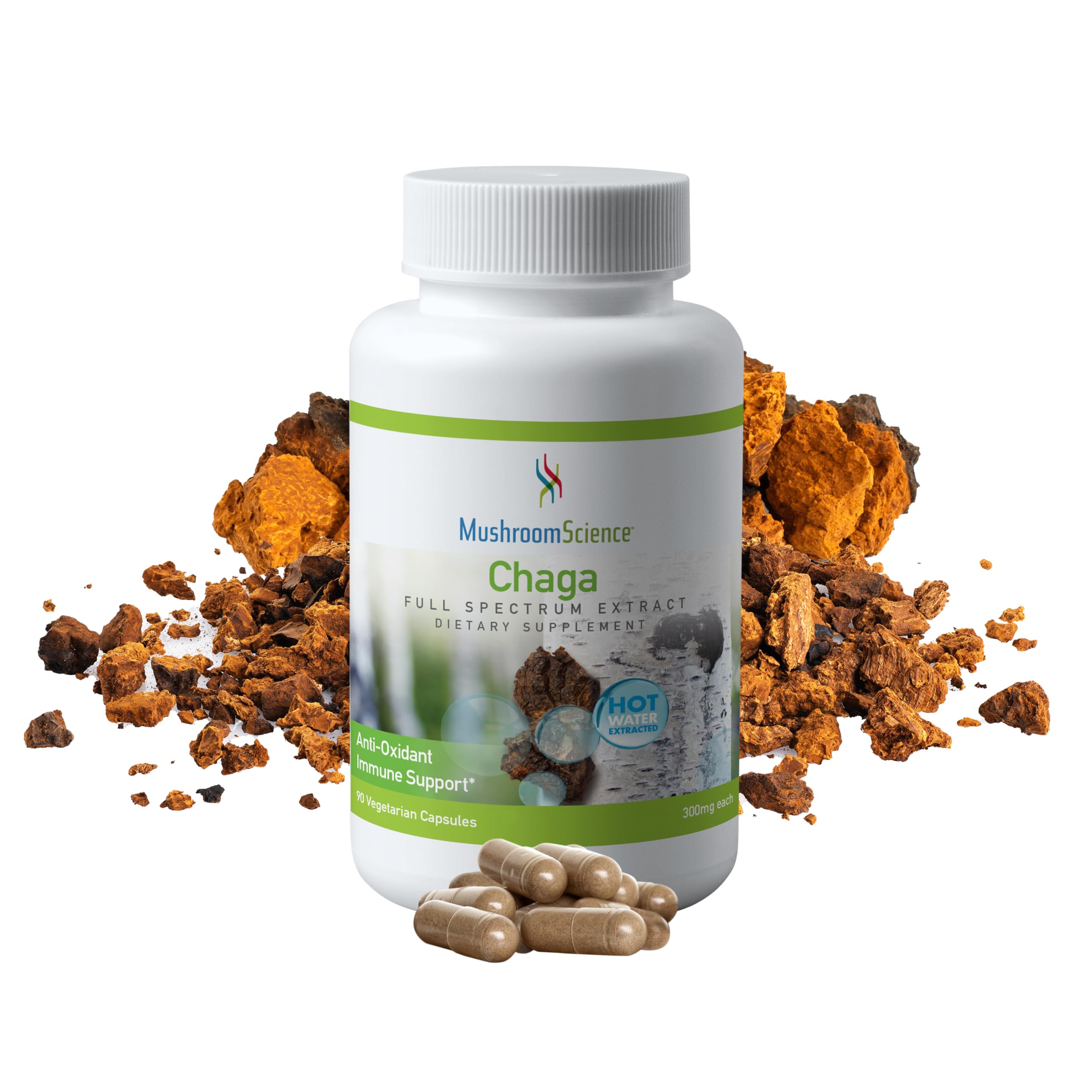 MushroomScience Chaga Mushroom Capsules, Full Spectrum Extract, Natural Antioxidant Mushroom Supplement for Adults, Health Support, Hot Water Extracted Mushrooms, Vegetarian, 300MG, 90 CT