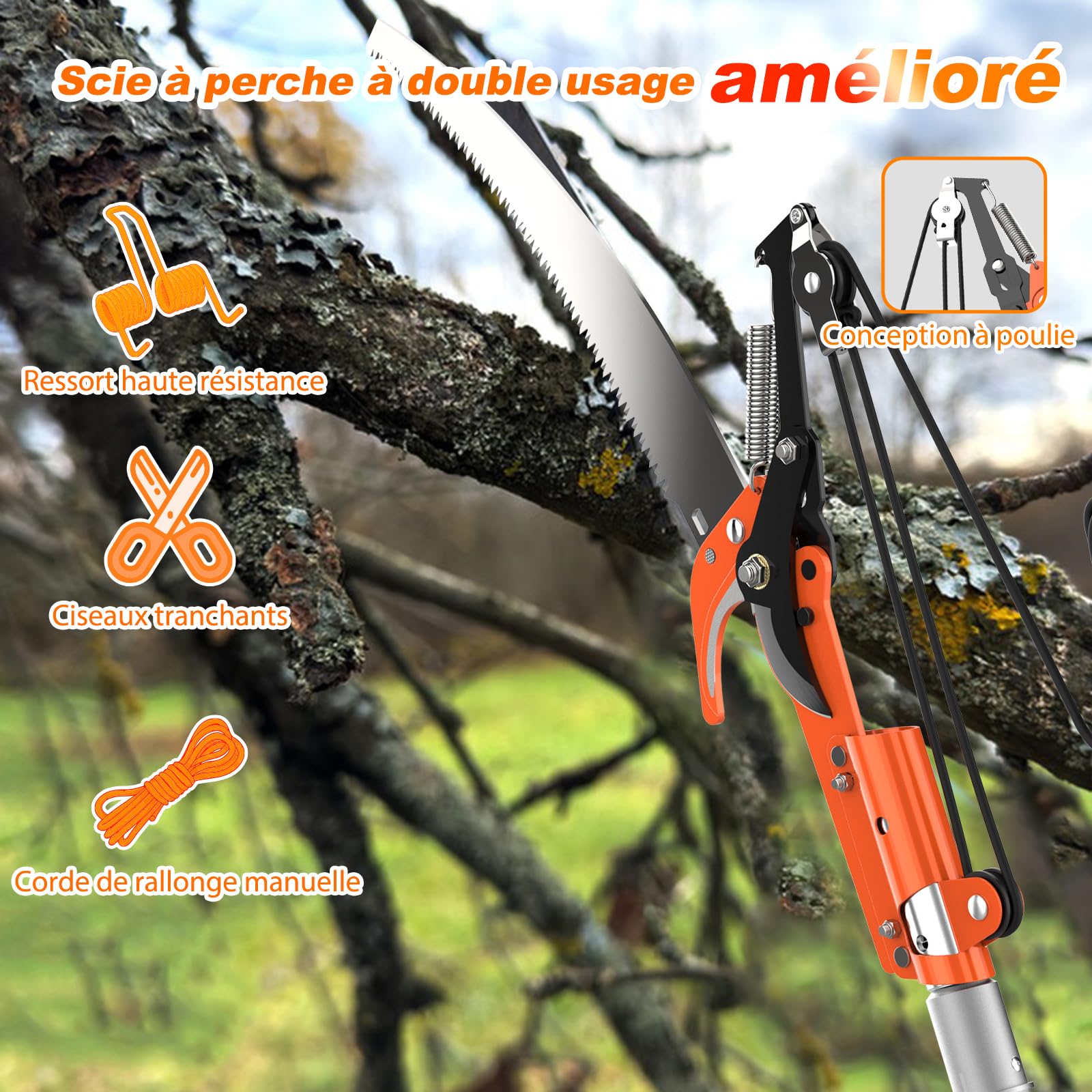 LAANPOLE 6m Scie, Ébrancheur sur Perche Telescopique avec Perche de Extension 1,5-6m, Ébrancheur Manuel pour Jardin