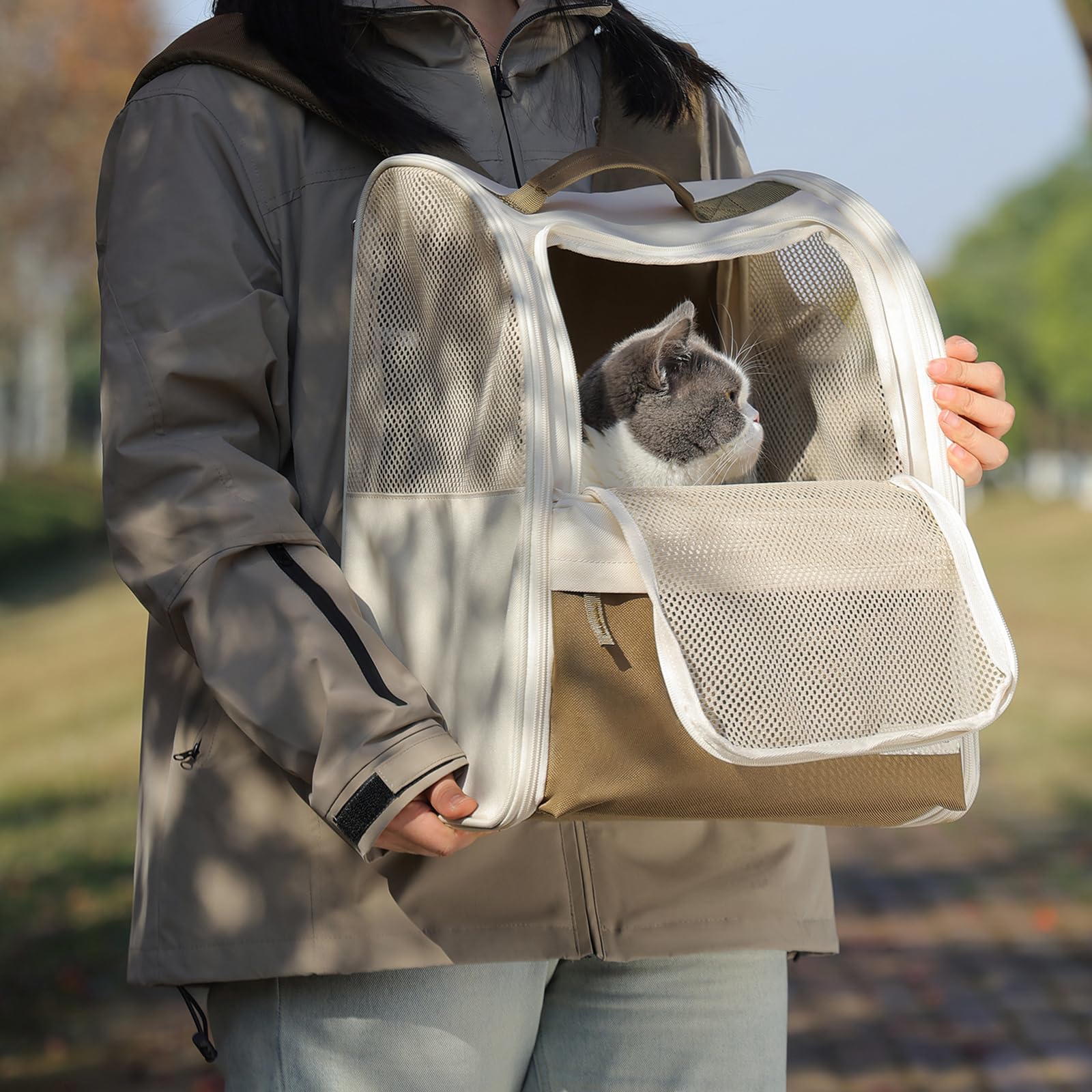 Mochila para gatos, mochila para perros de hasta 7,5 kg, mochila para gatos Bubble Pet Mochila con diseño ventilado, bolsa de transporte portátil para perros con correa de seguridad interior para