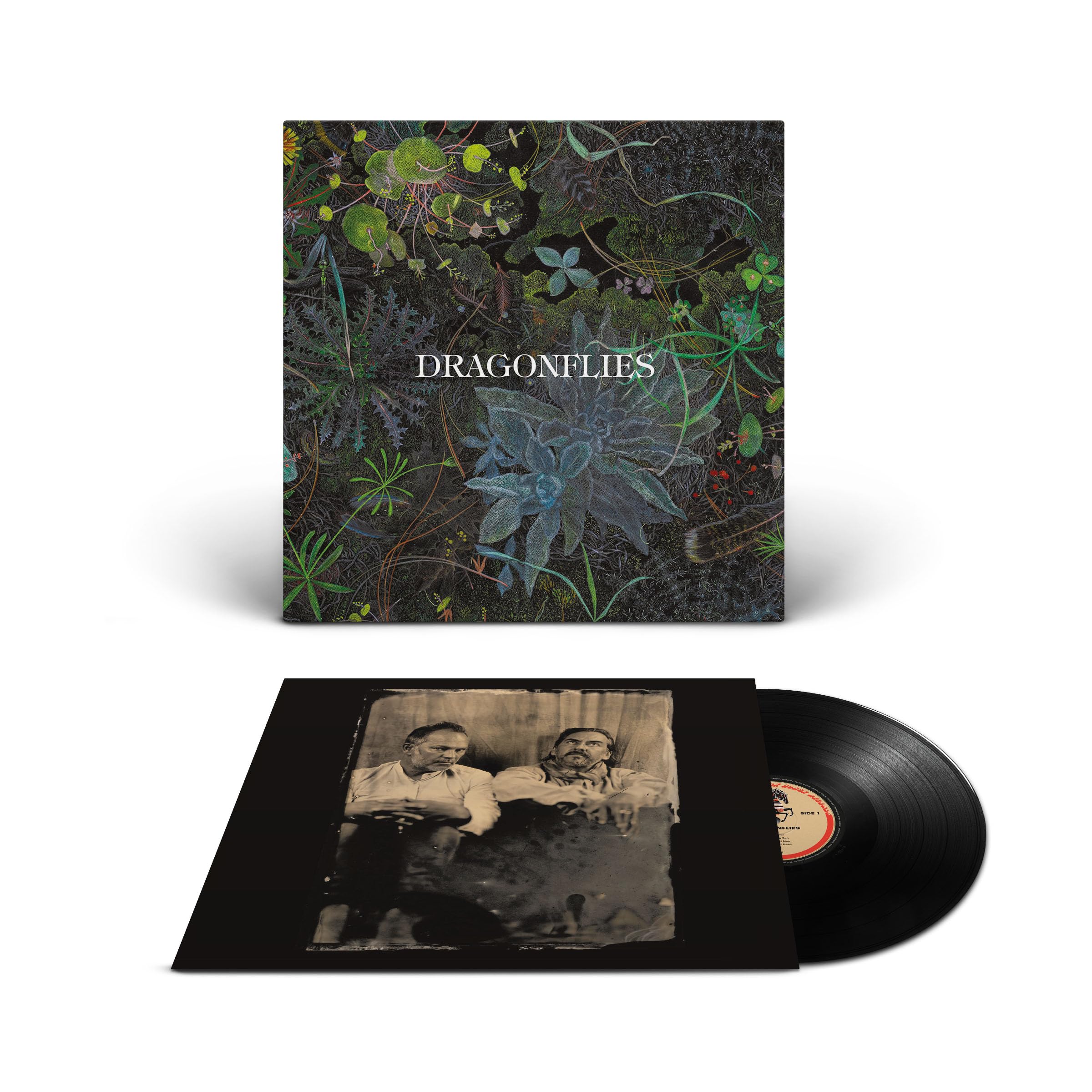 Dragonflies [VINYL]