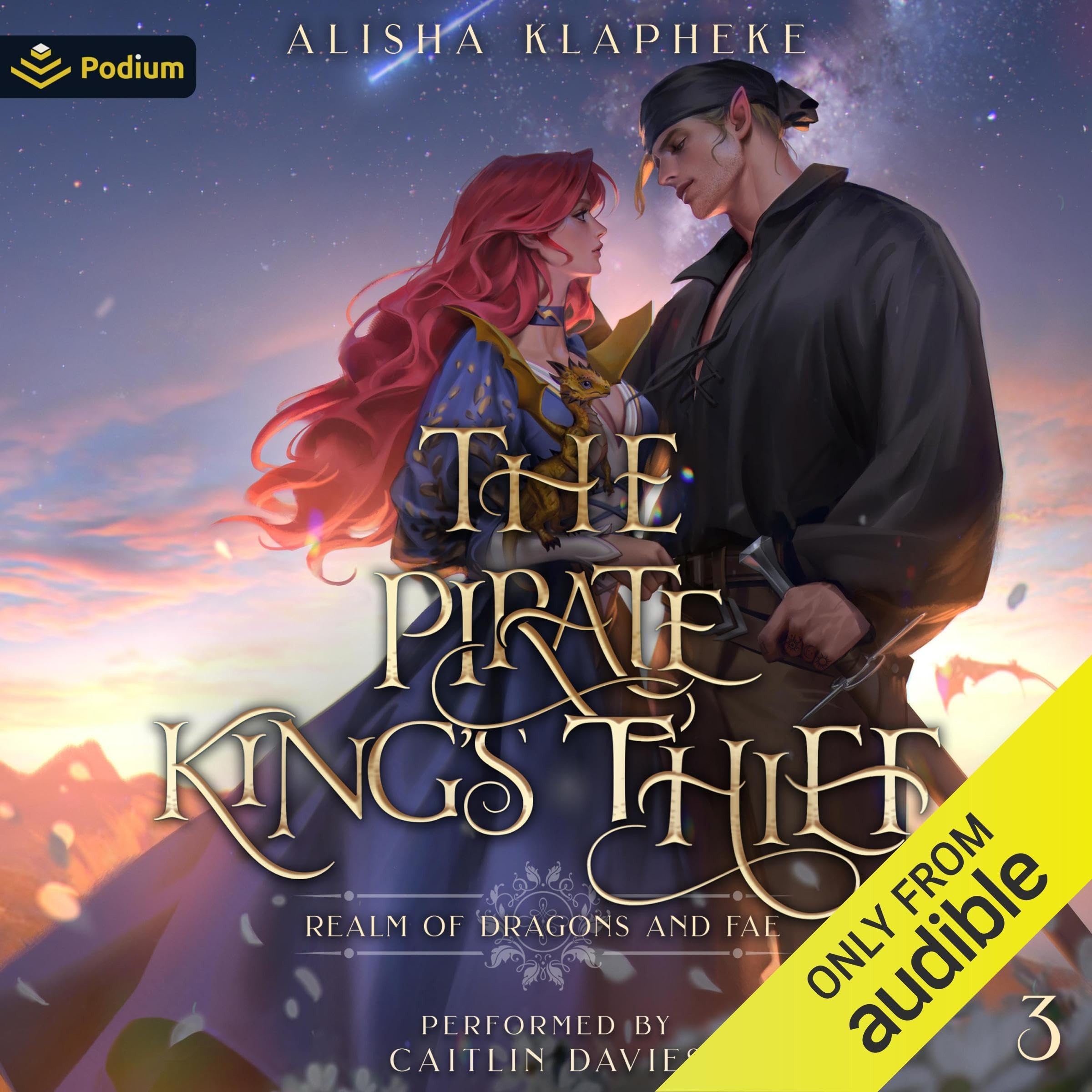 Cover art for The Pirate King's Thief