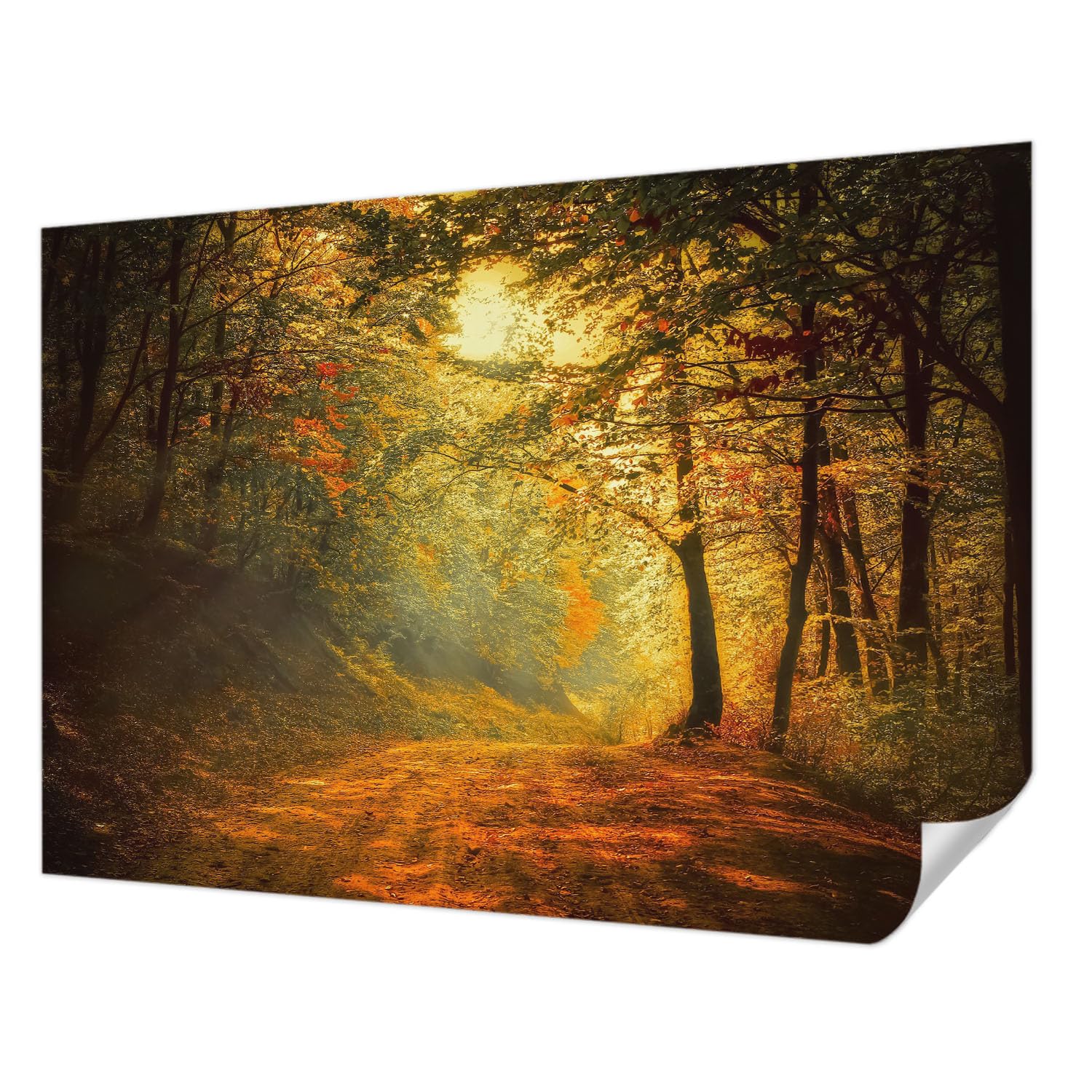 Panoramique de haute qualité Tulup 312x219 cm décor mural premium automne