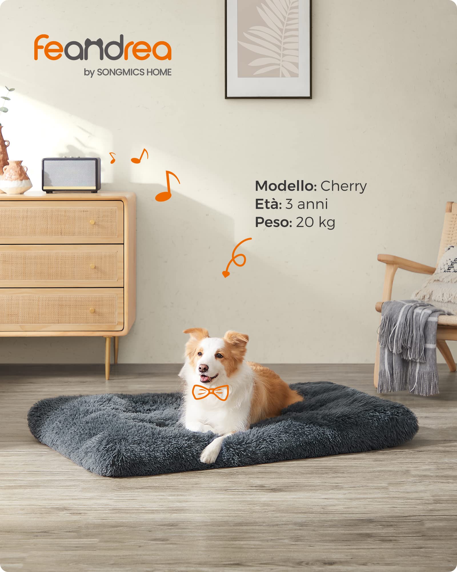 Feandrea Cuccia per Cani, Tappetino per Animali di Peluche Morbida, 110 x 73 cm, Imbottitura Soffice, Lavabile, Cuscino per Cani Multiuso, Grigio Scuro PGW203G02