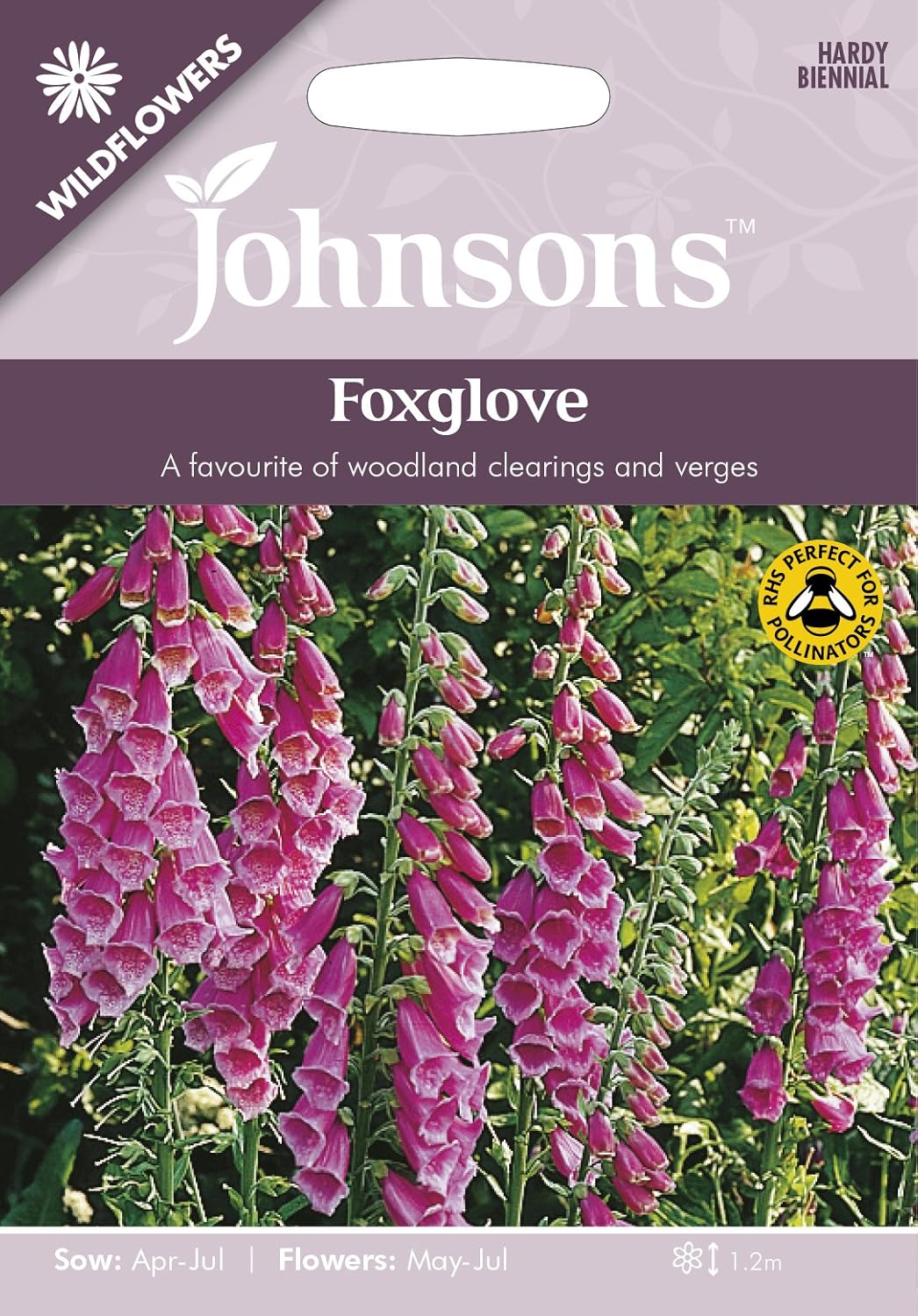 Amazon.co.jp 【輸入種子】 Johnsons Seeds WILDFLOWERS Foxglove ワイルドフラワーズ
