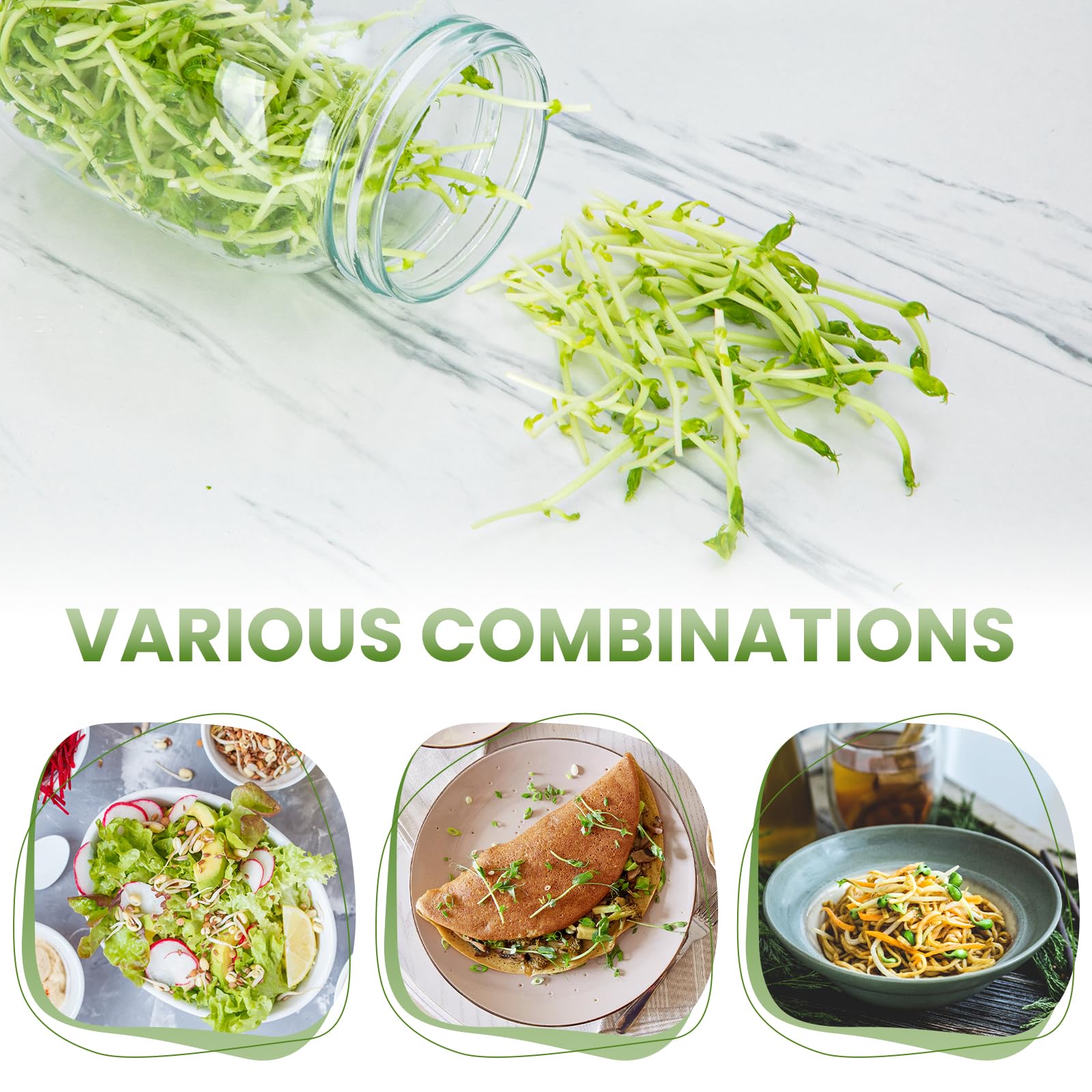 Germoir pour Graines à Germer en Verre, 2 x 1000ml Bocal de Germination avec Couvercle en Acier Inoxydable, Support Réglable et Plateau Blanc, pour Lentilles, Alfalfa, Haricots Mungo
