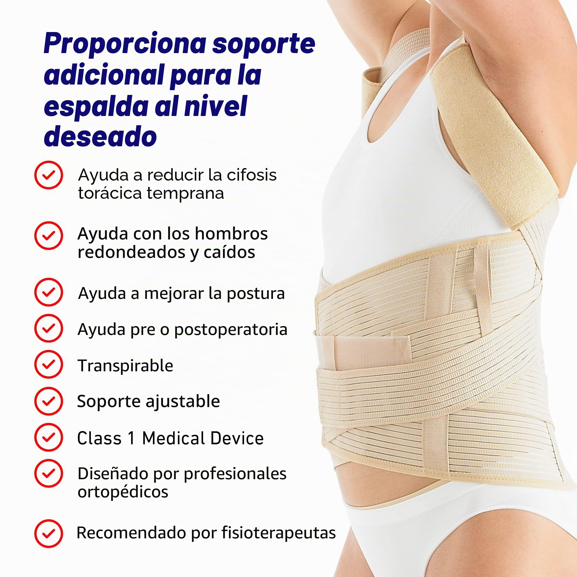 Neo-G - Faja dorsolumbar de calidad médica, para sujeción de parte inferior/media/superior.