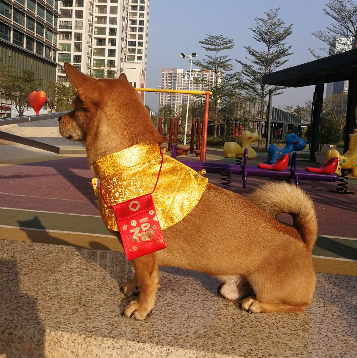 Best Furry Friends Dress for Dogs, Easter Egg, Large