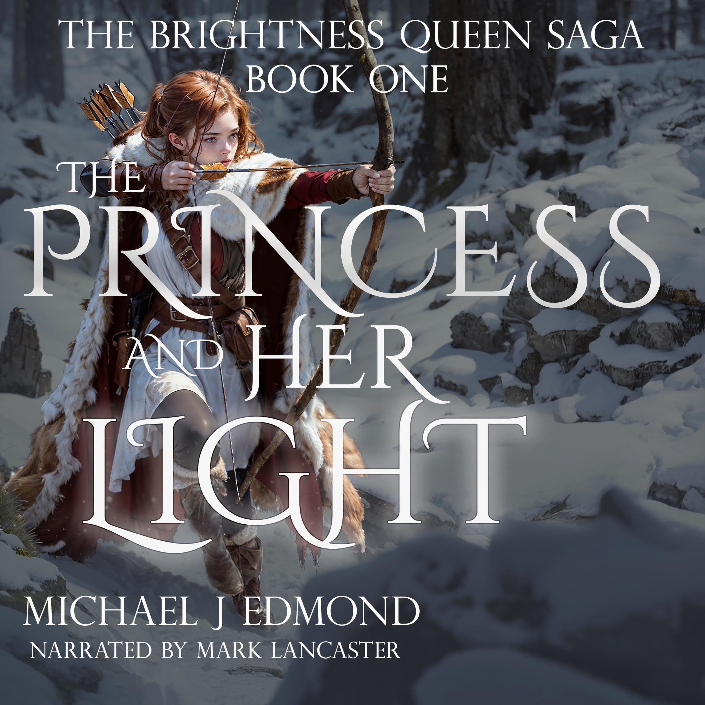Cover art for The Princess and Her Light
