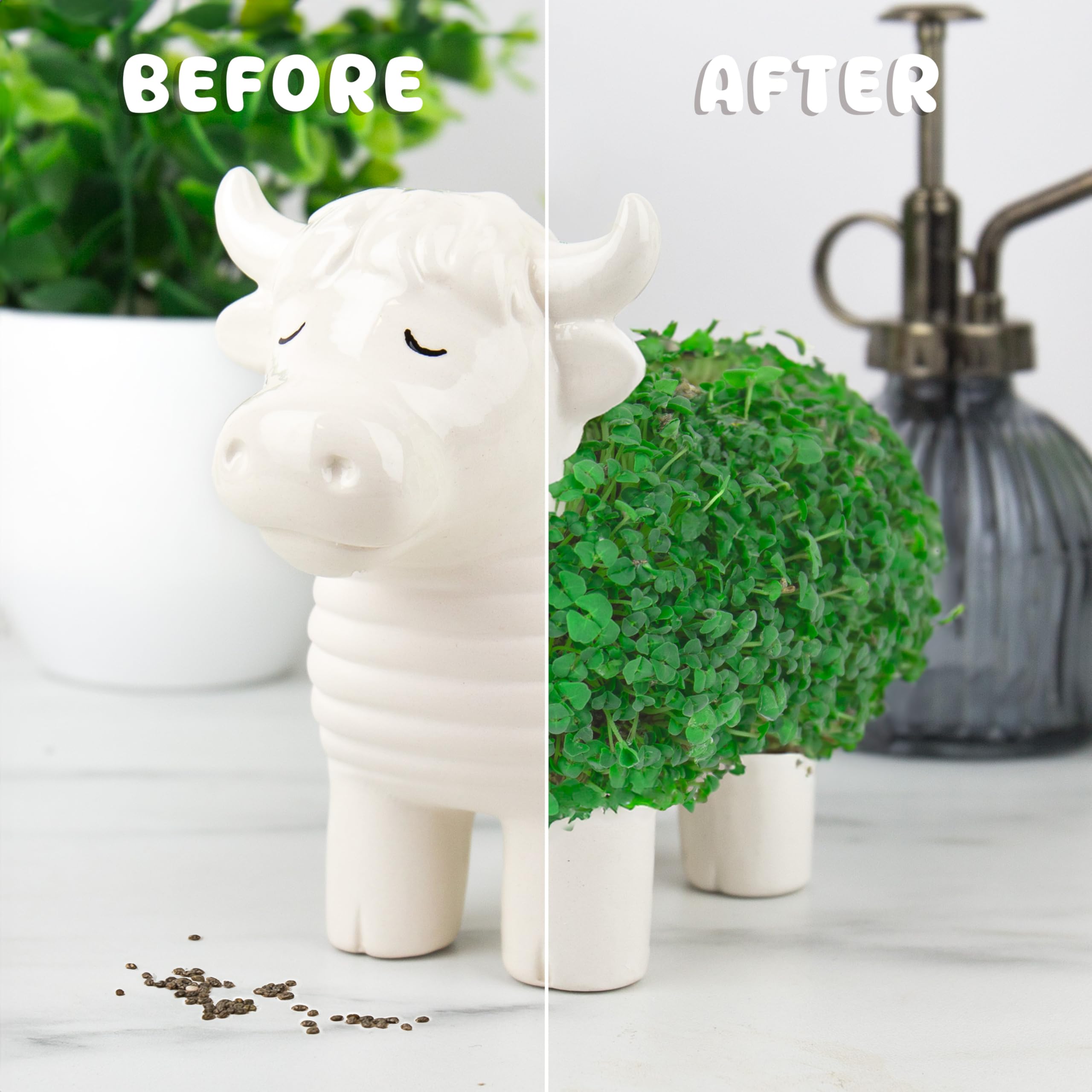 Jardinière en forme de vache des Highland Chia - Joli ornement de bureau en forme d'animal, mini kit de jardin pour cultiver votre petite plante pour enfants et adultes