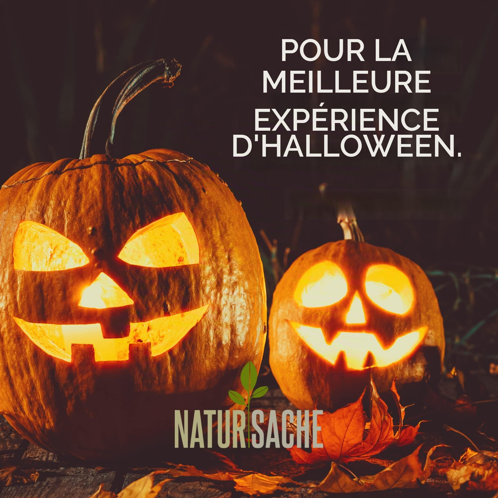 Natursache Lait de latex, bidon de 5 l, latex liquide adapté pour la fabrication de masques, le maquillage, la construction de moules, les chaussettes