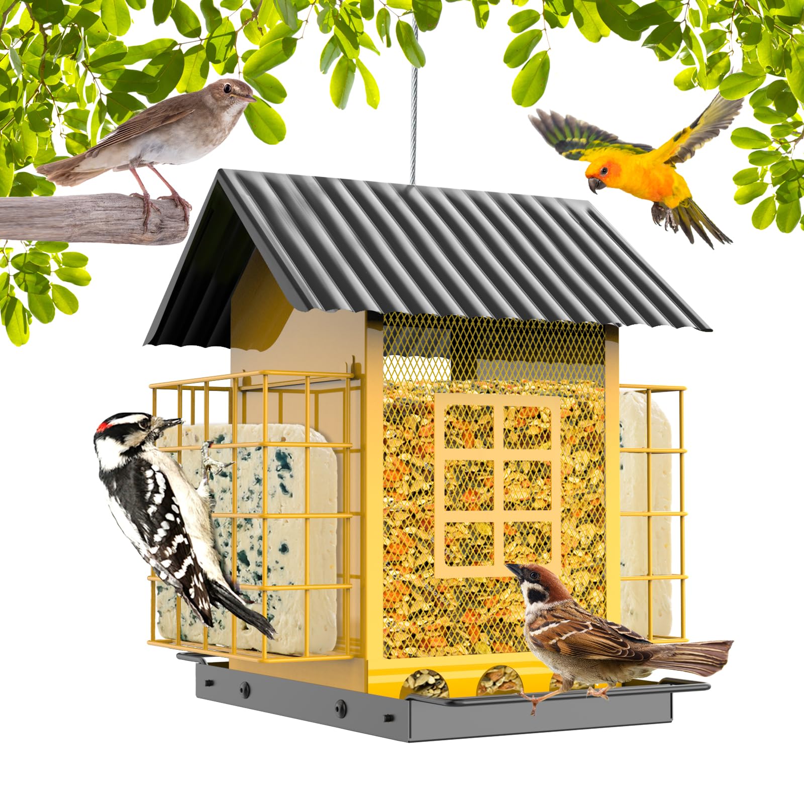 FlowaFoli Bird Feeders for Outdoors Hanging, Metal Bird Feeder with Double Suet Cage Cake, Large Capacity, Birdfeeders Durable & Weatherproof, Easy to Clean & Refill, Great for Attracting Wild Birds