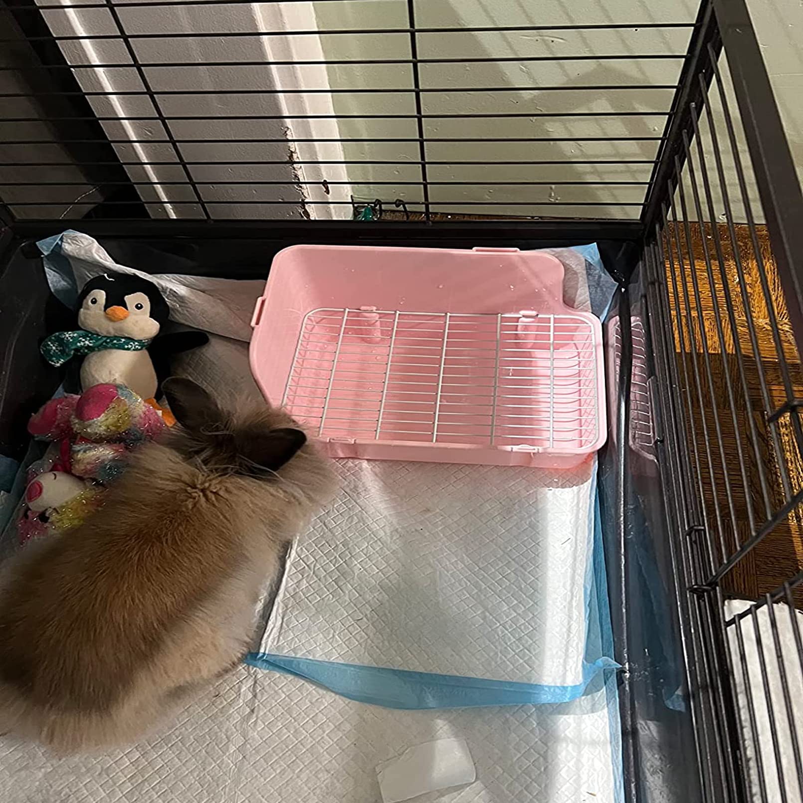Guinea Pig Litter Box Corner Bunny Toilet Small Animal Potty Training with Dustpan Broom Chew Toys for Chinchilla Ferret Hedgehog Gerbil (10 Pcs) - image 4