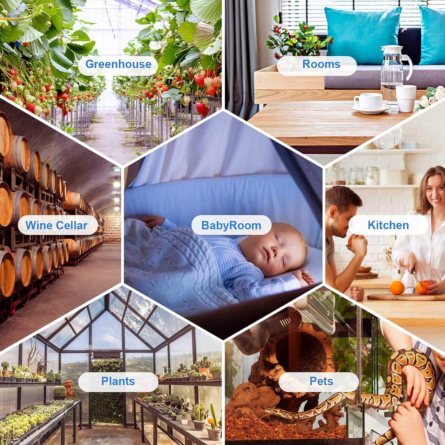 Various applications for the Inkbird IBS-TH2 sensor, including greenhouses, rooms, wine cellars, baby rooms, kitchens, plants, and pet enclosures.